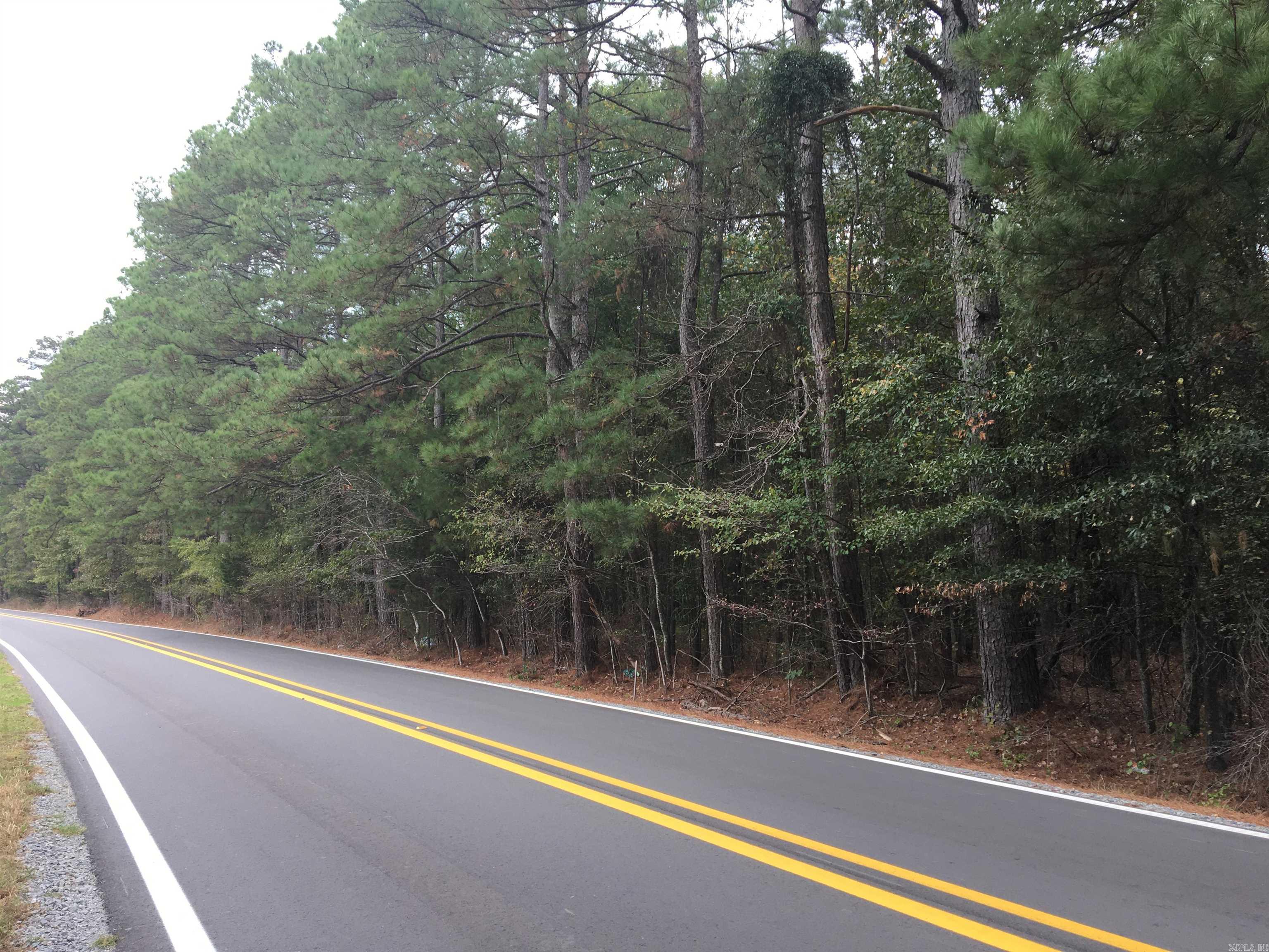 40 Acres Sulphur Springs Rd Property Photo 4