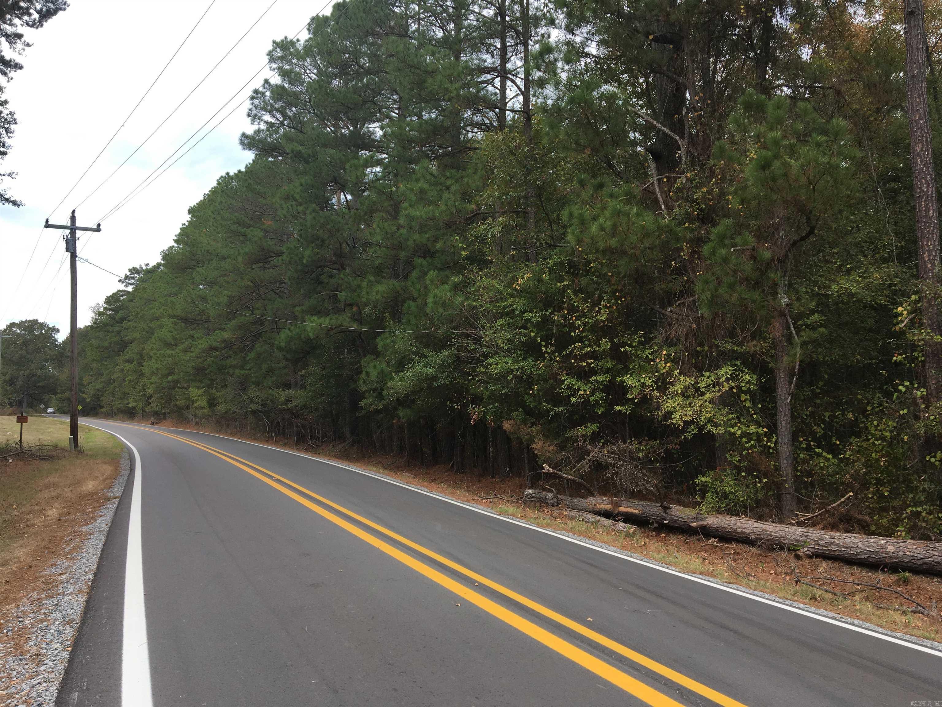 40 Acres Sulphur Springs Rd Property Photo 5