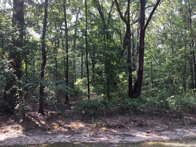 Lot 1 Witts Drive Property Photo 1