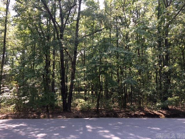 Lot 2 Witts Drive Property Photo 1