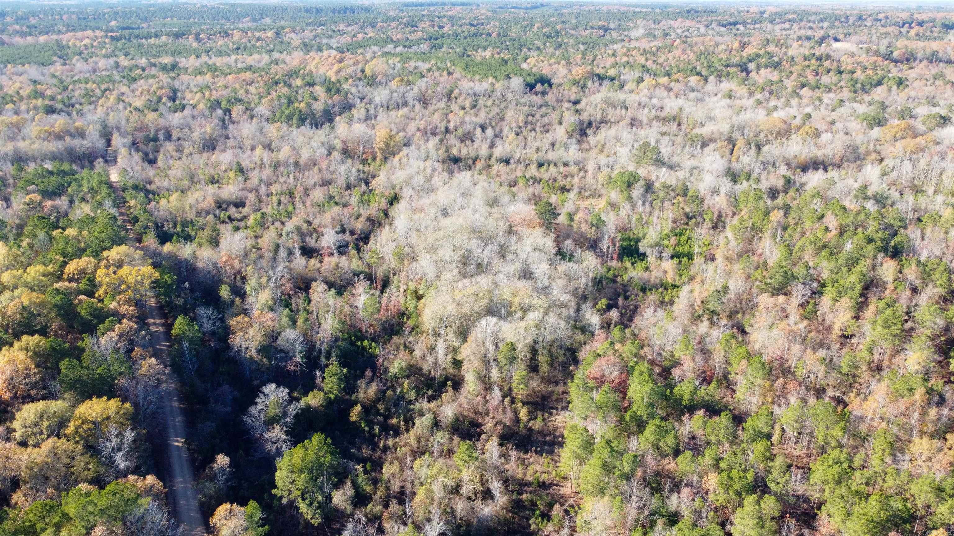 40 Acres Ouachita 82 Road Property Photo 2