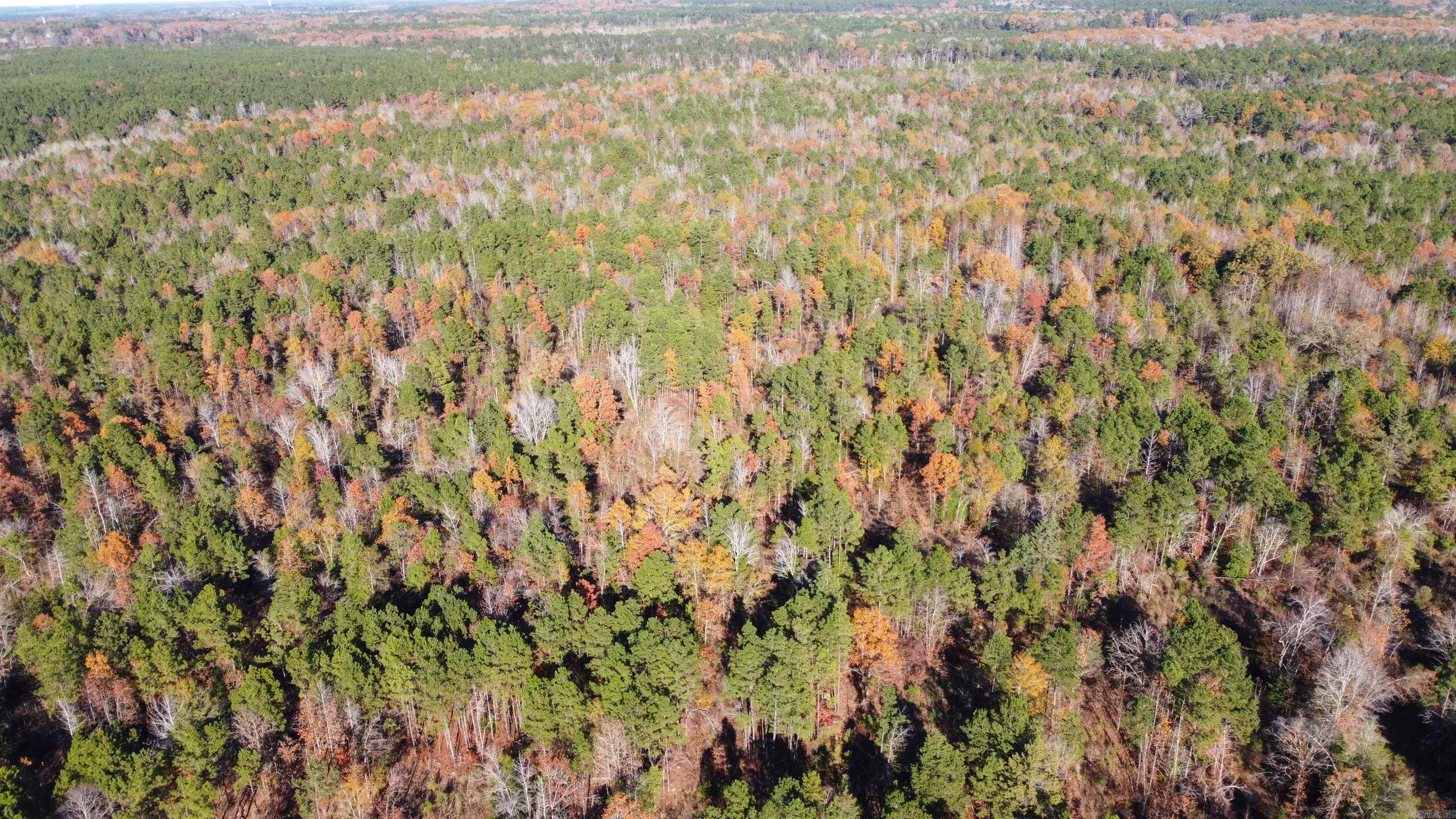 40 Acres Ouachita 82 Road Property Photo 5