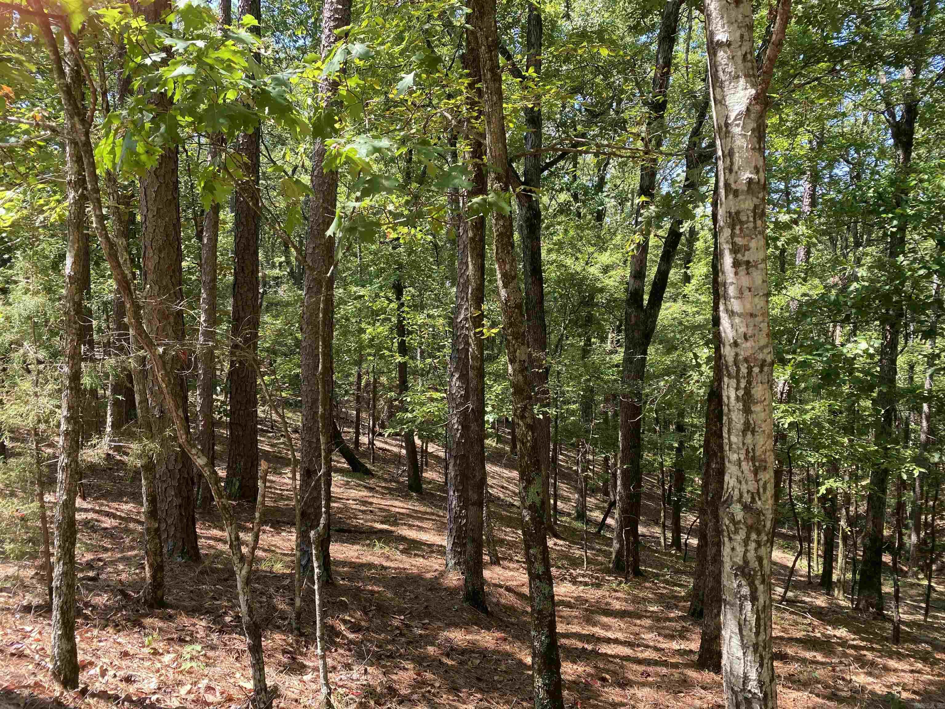 9 Hillside Trail Property Photo 1