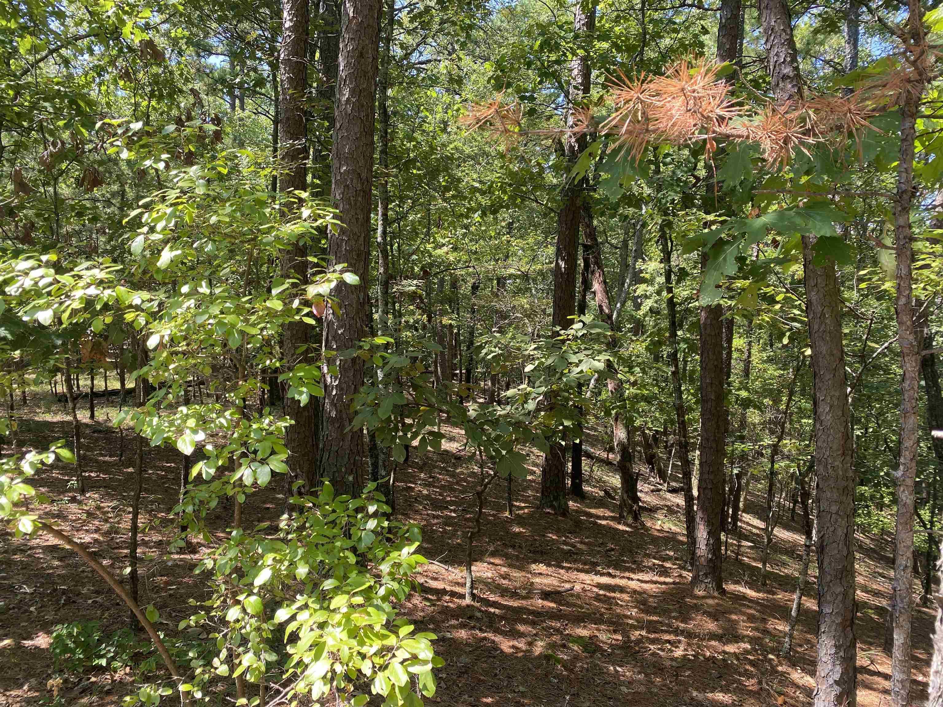 9 Hillside Trail Property Photo 2
