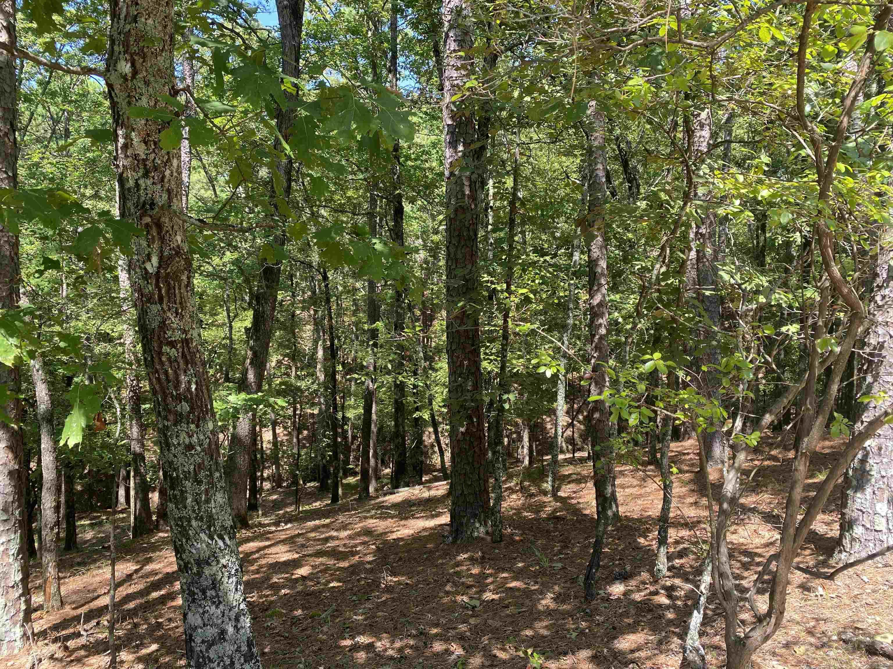 9 Hillside Trail Property Photo 3