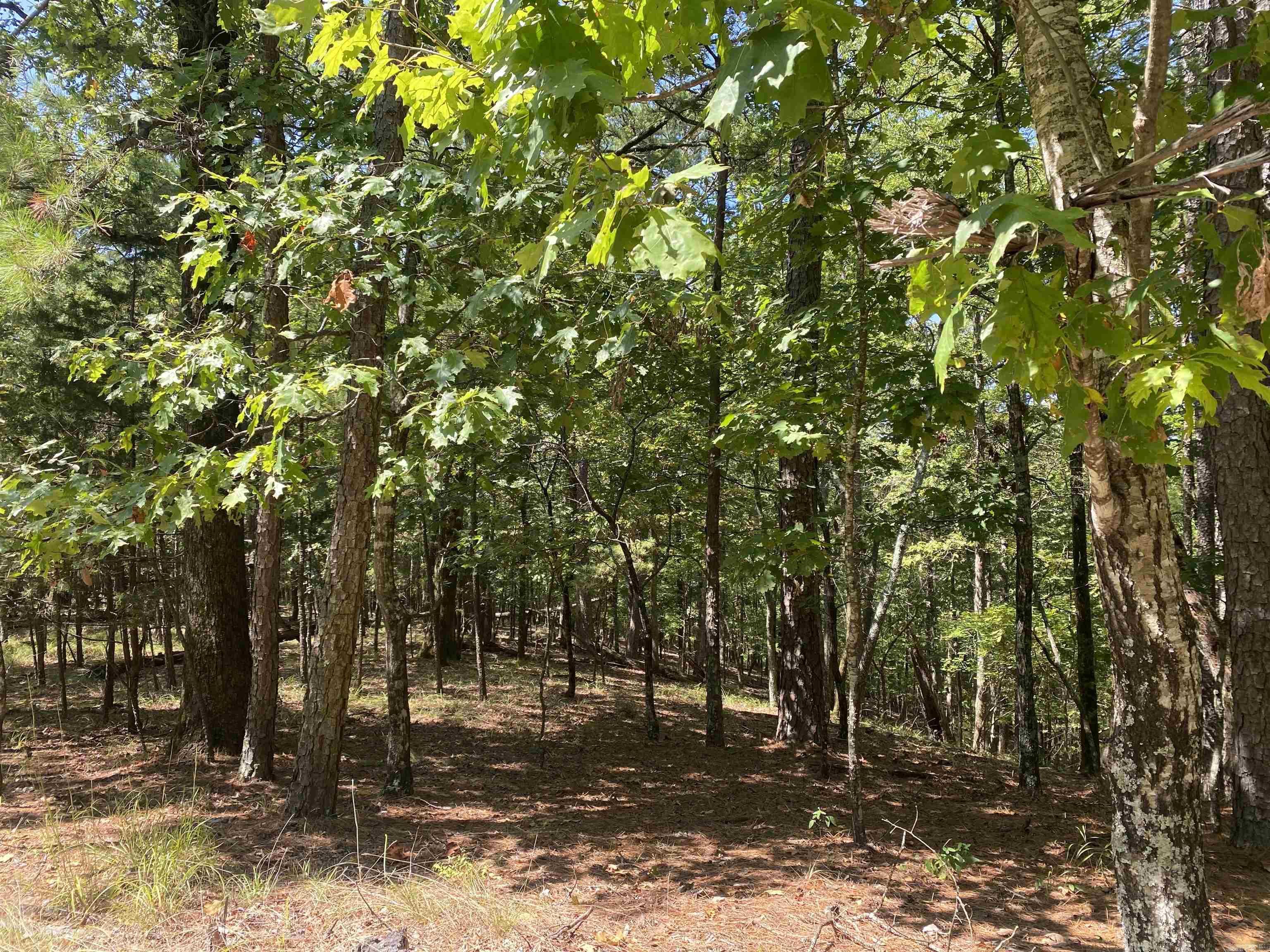 9 Hillside Trail Property Photo 4