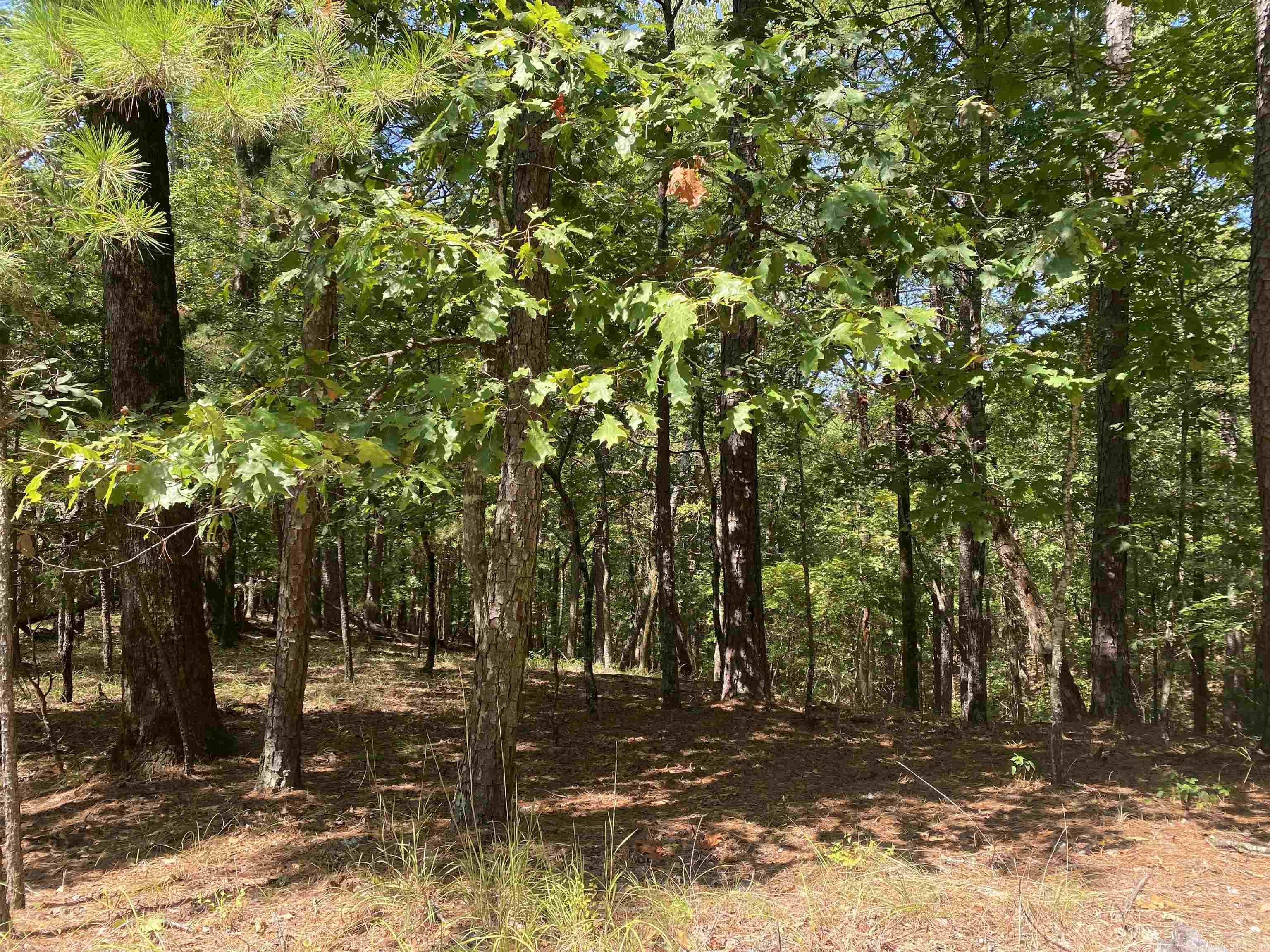 9 Hillside Trail Property Photo 5