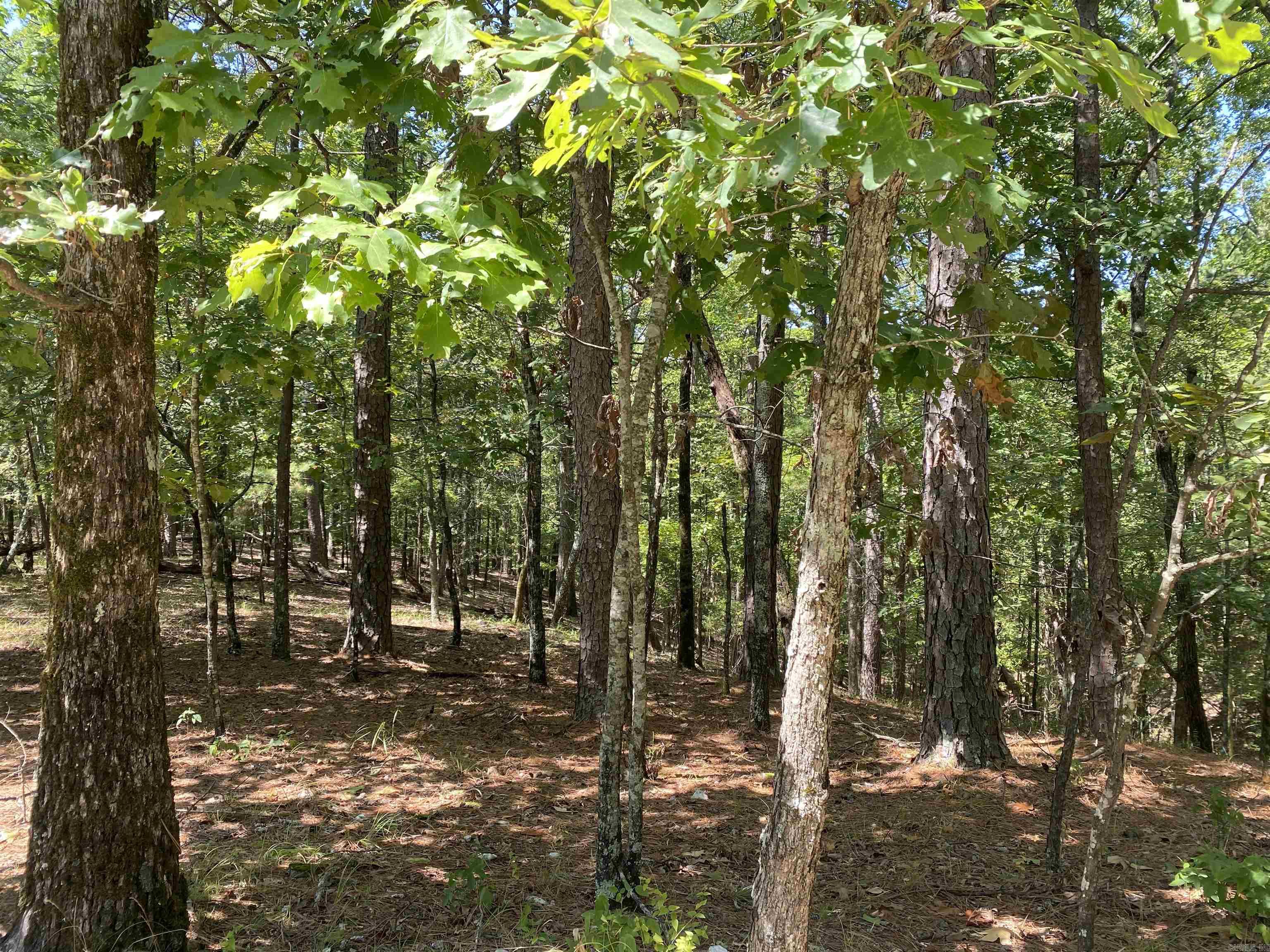 9 Hillside Trail Property Photo 6