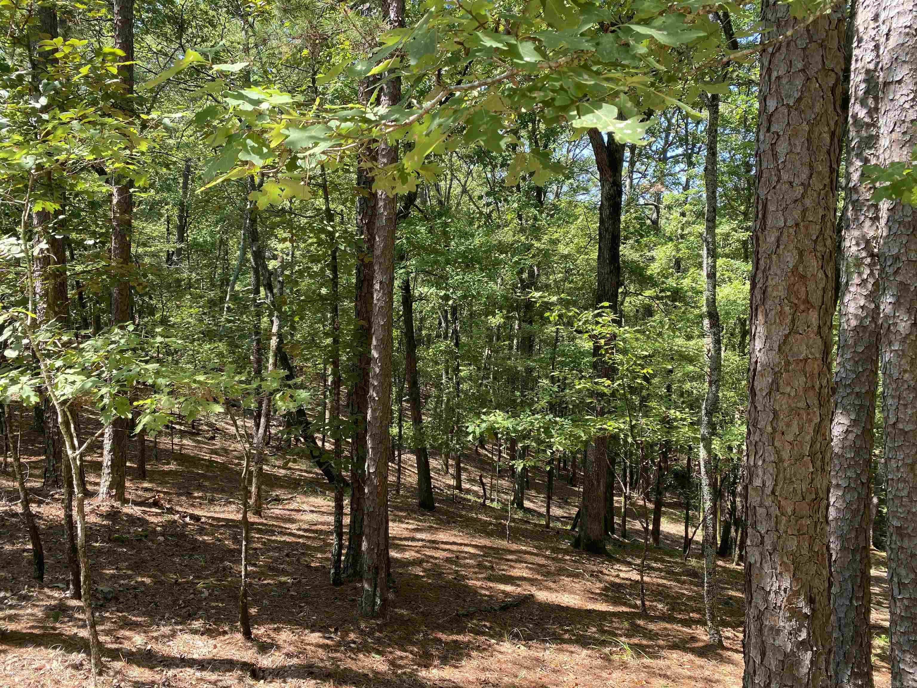 9 Hillside Trail Property Photo 7