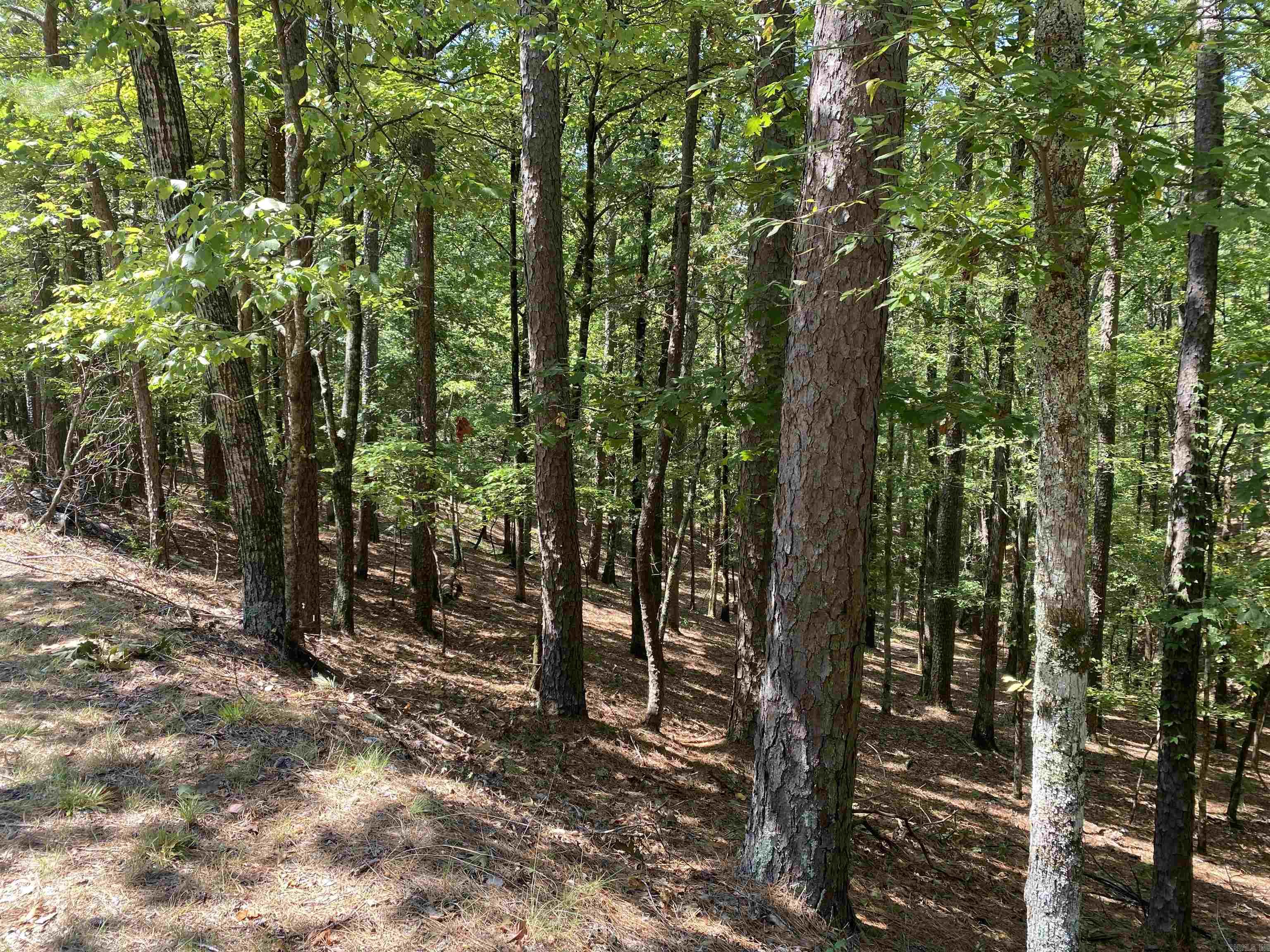 9 Hillside Trail Property Photo 8