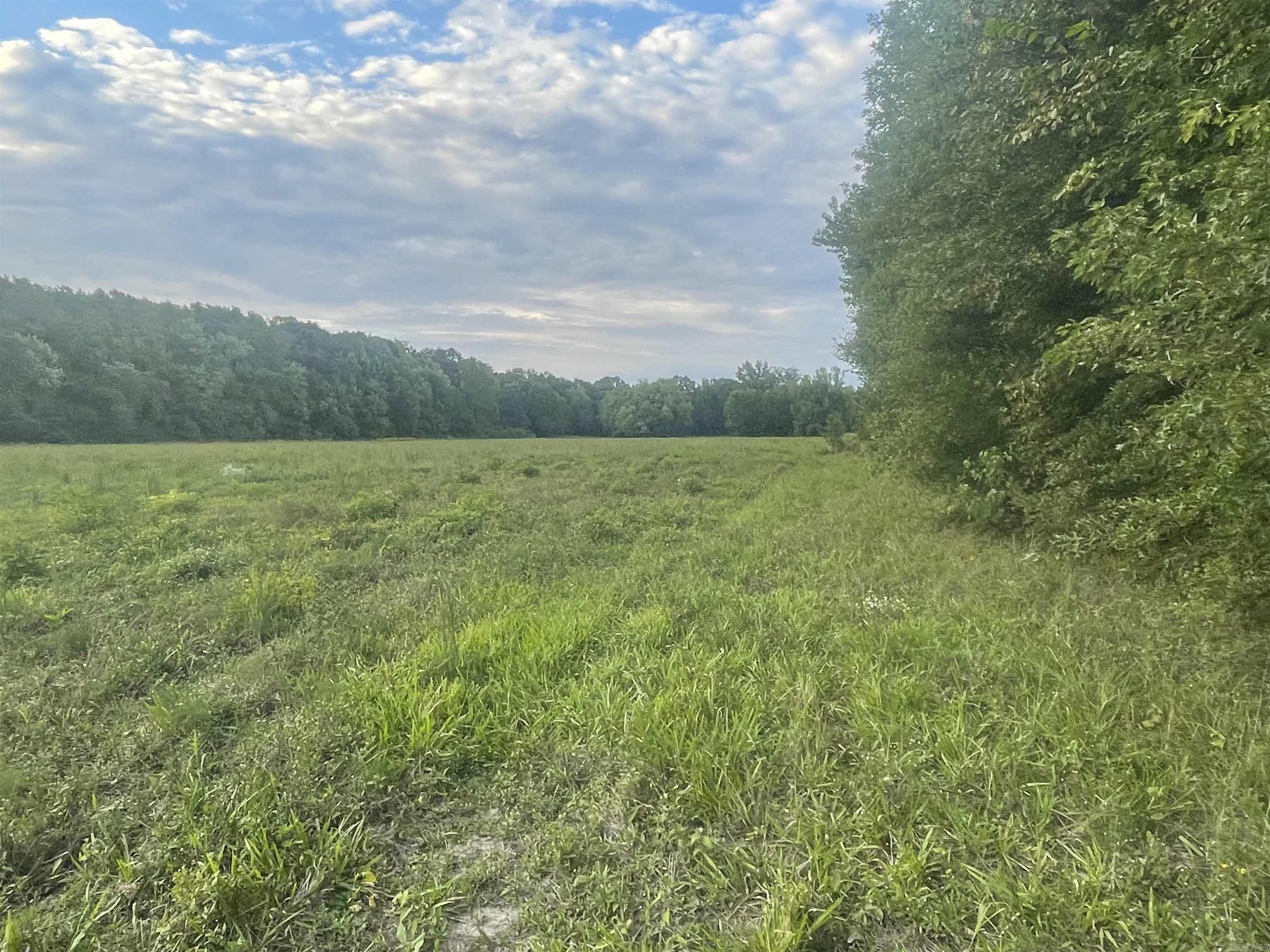 Lot 1 Alyssa Place Property Photo 3