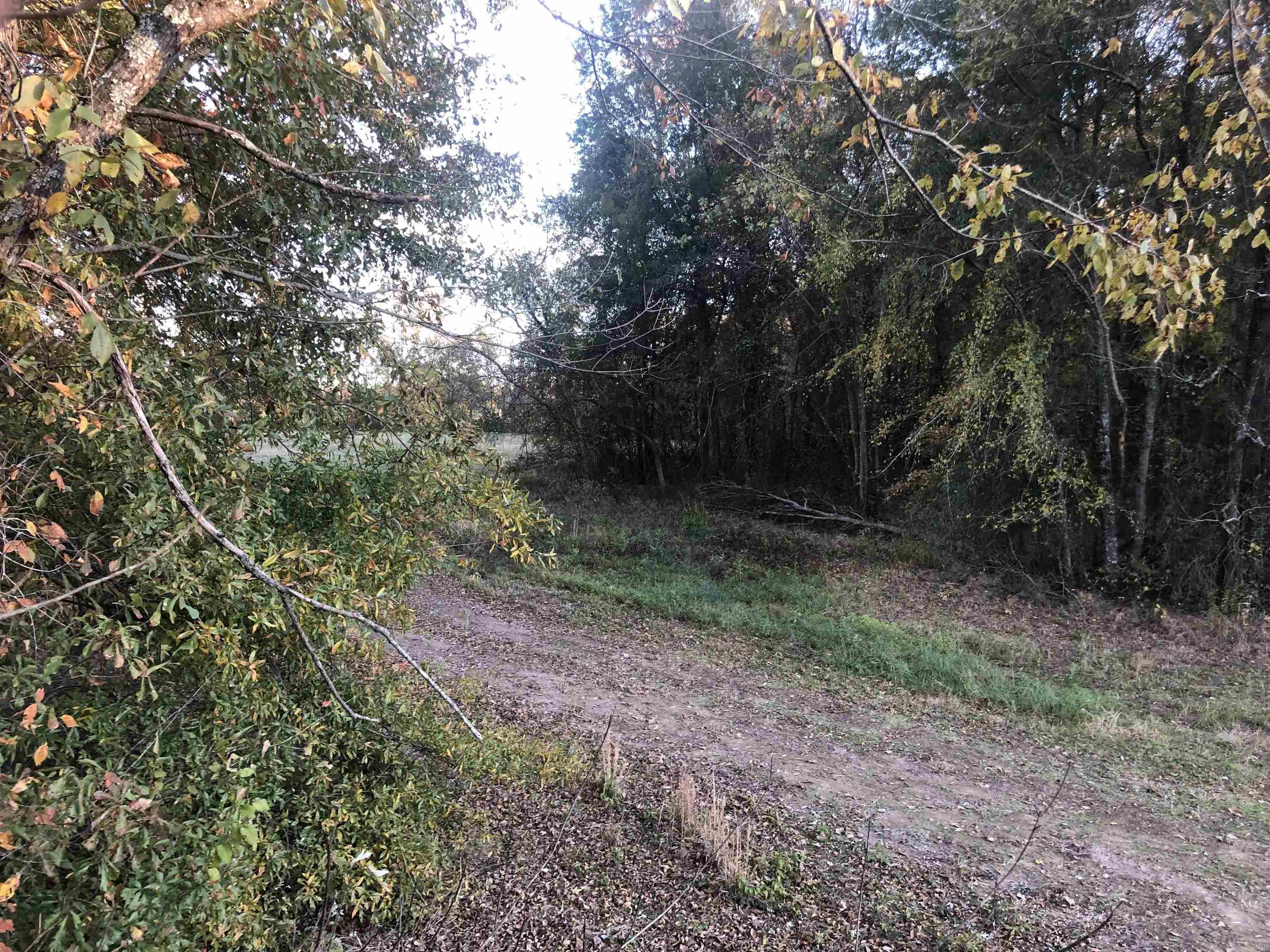 Lot 1 Alyssa Place Property Photo 5