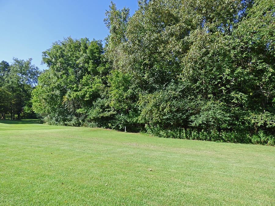 Kere Trace Property Photo 7
