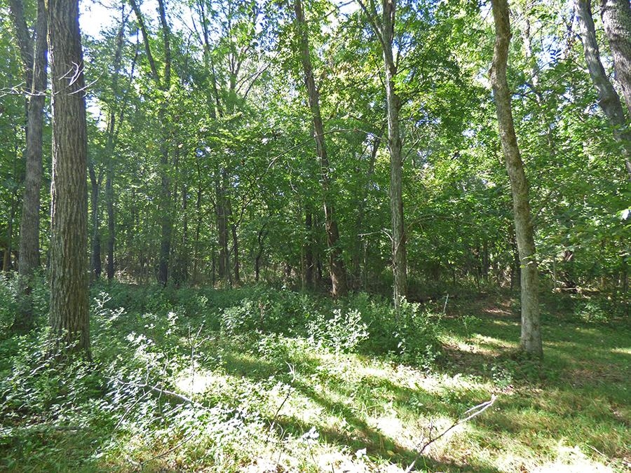 Kere Trace Property Photo 11