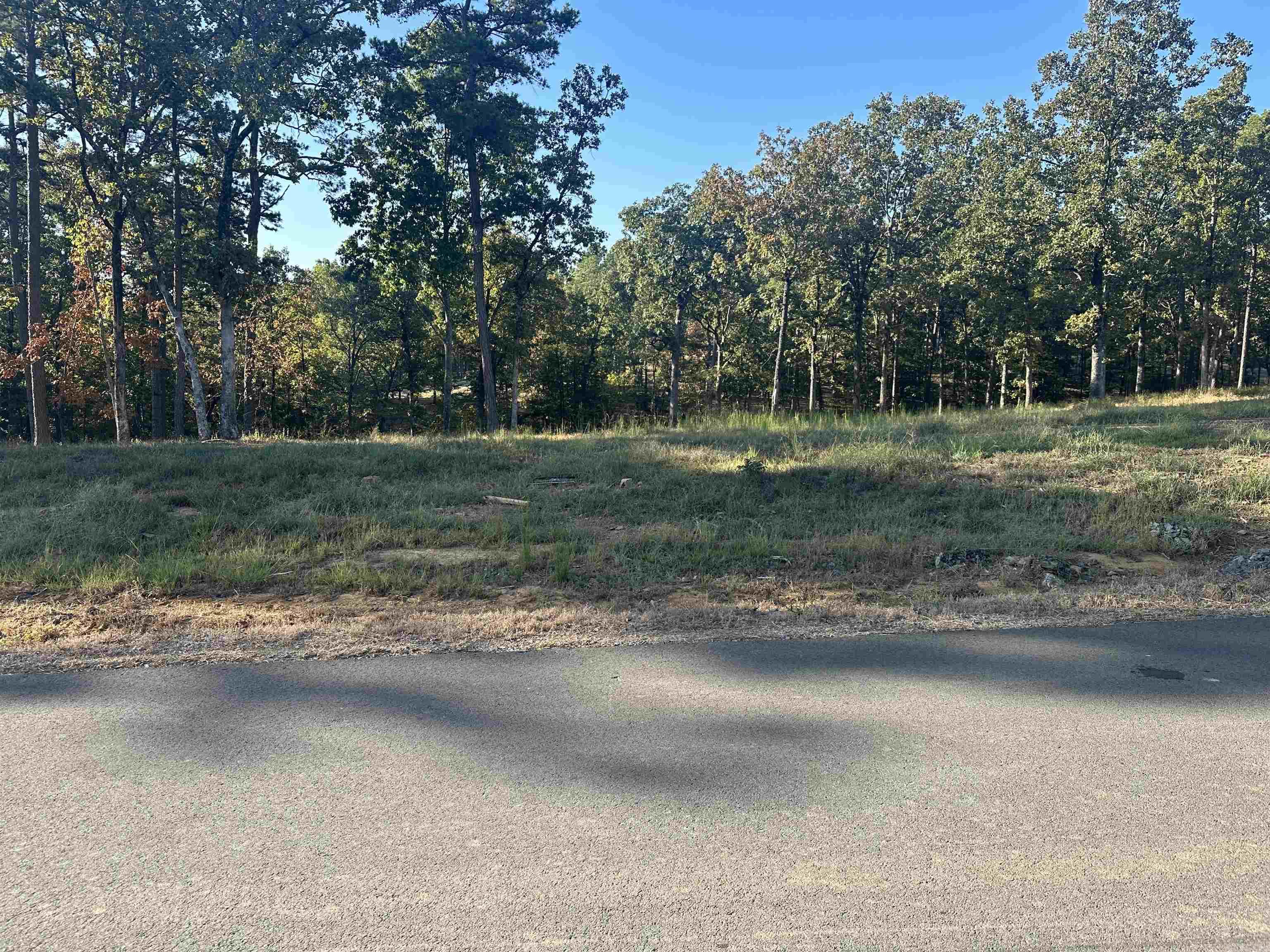 2925 Orchard View Drive Property Photo 1