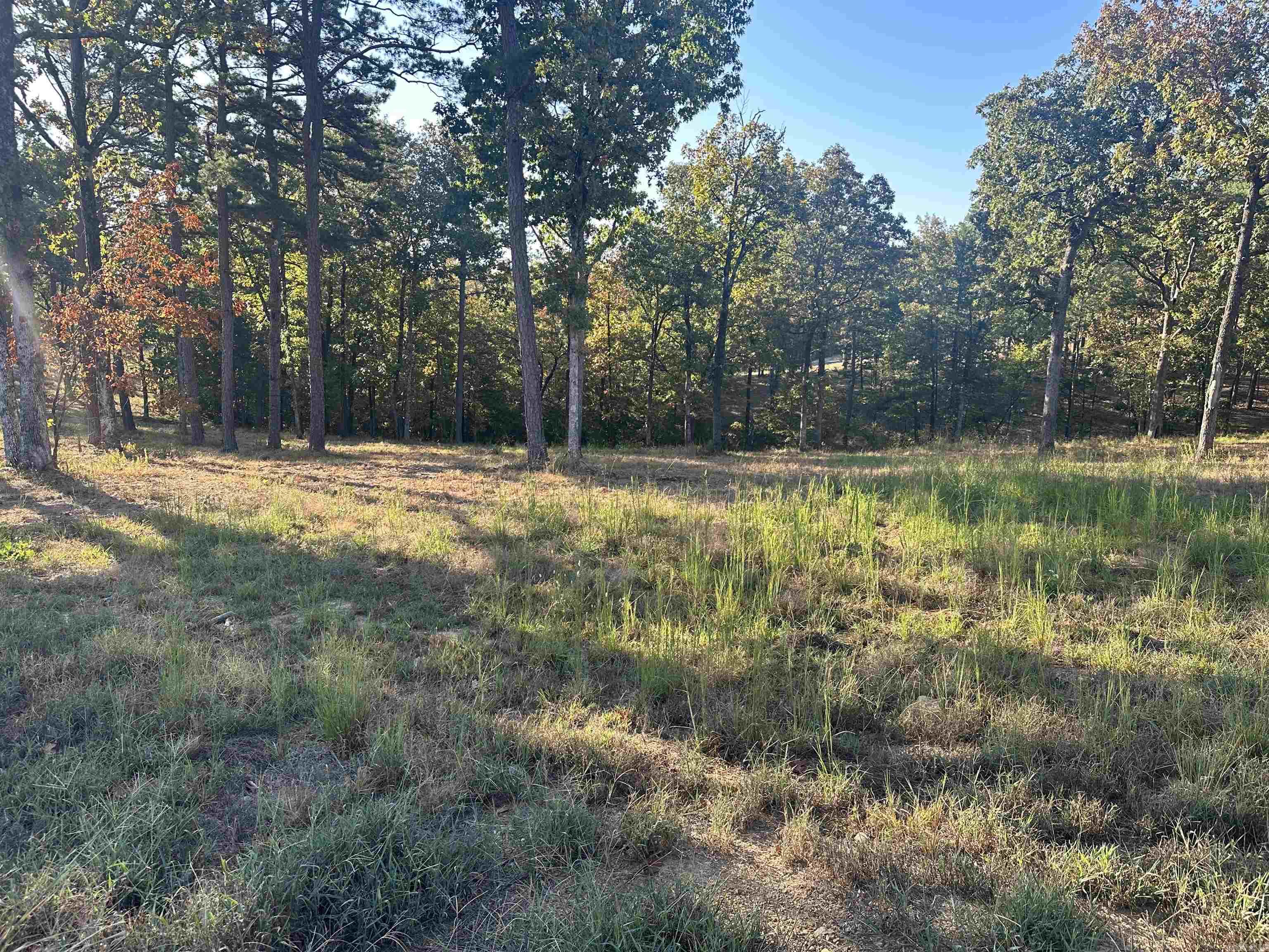 2925 Orchard View Drive Property Photo 2