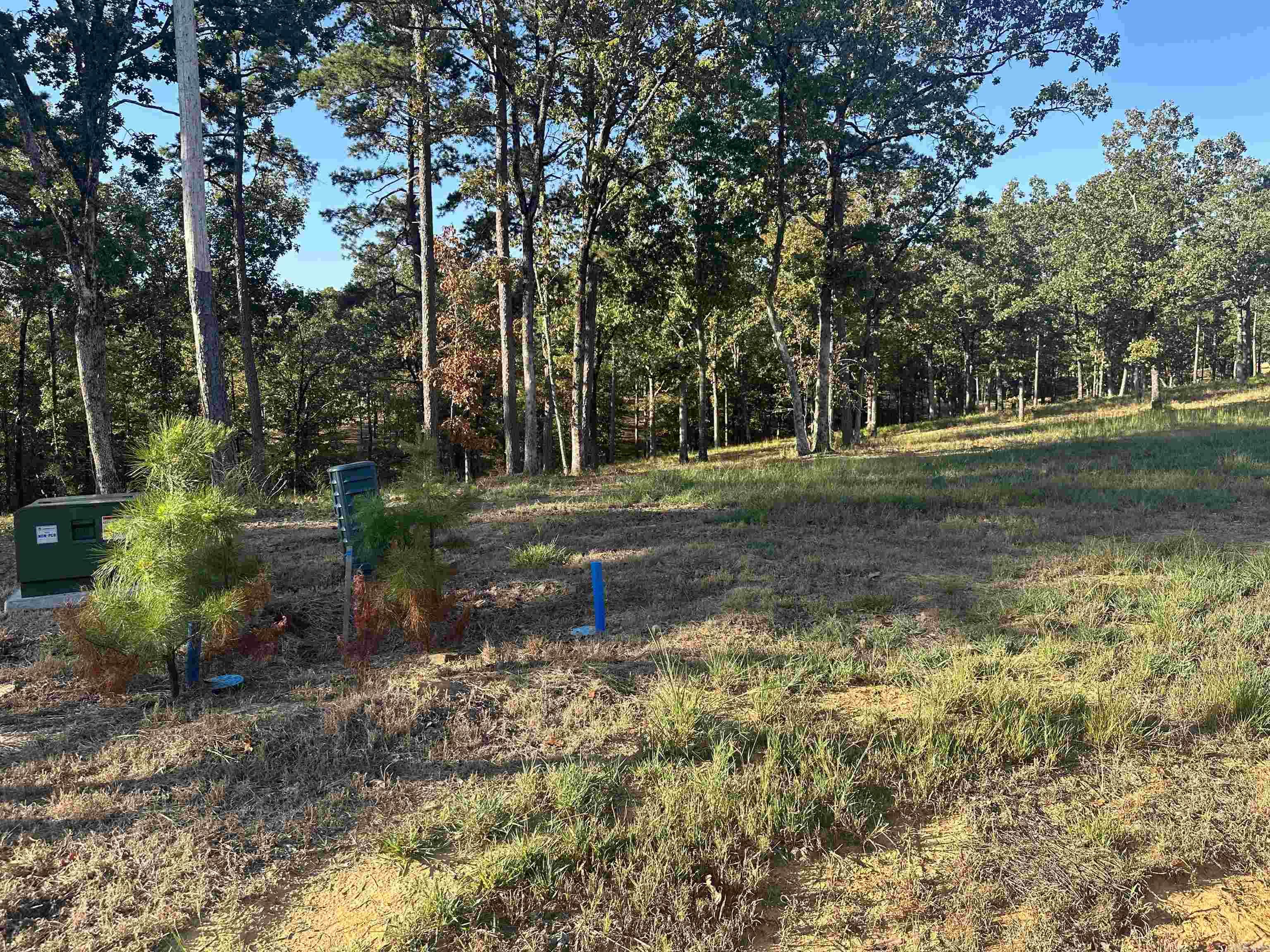 2925 Orchard View Drive Property Photo 4
