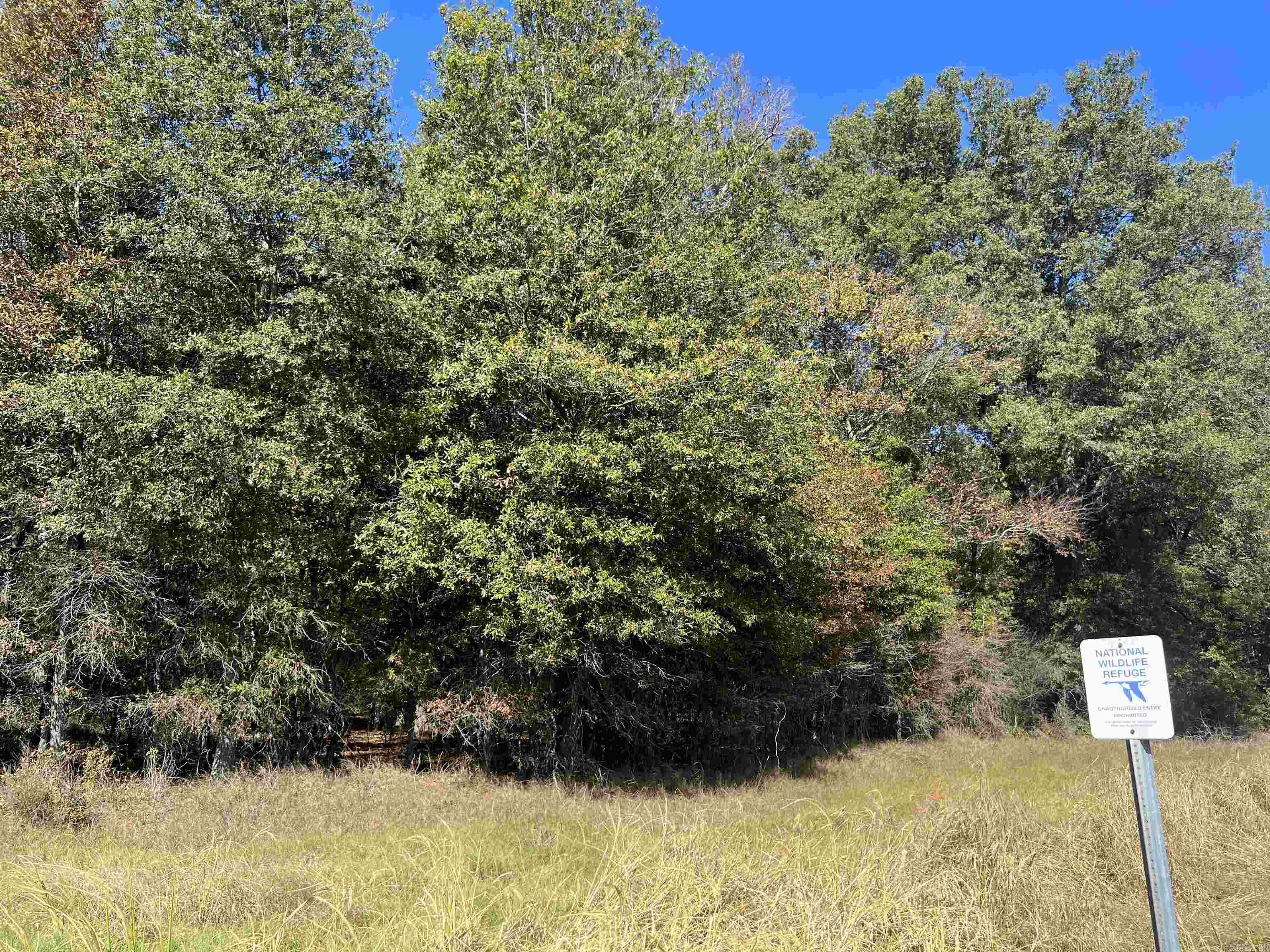 000 Casey Rd. Property Photo 31