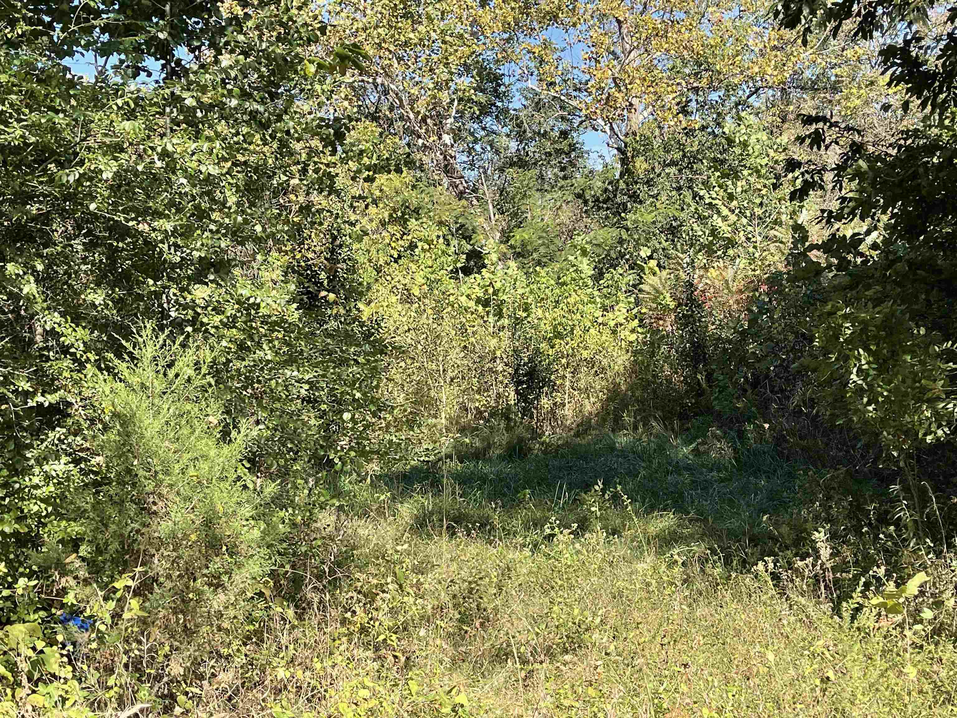 Tbd Nix Ridge Road Property Photo 4