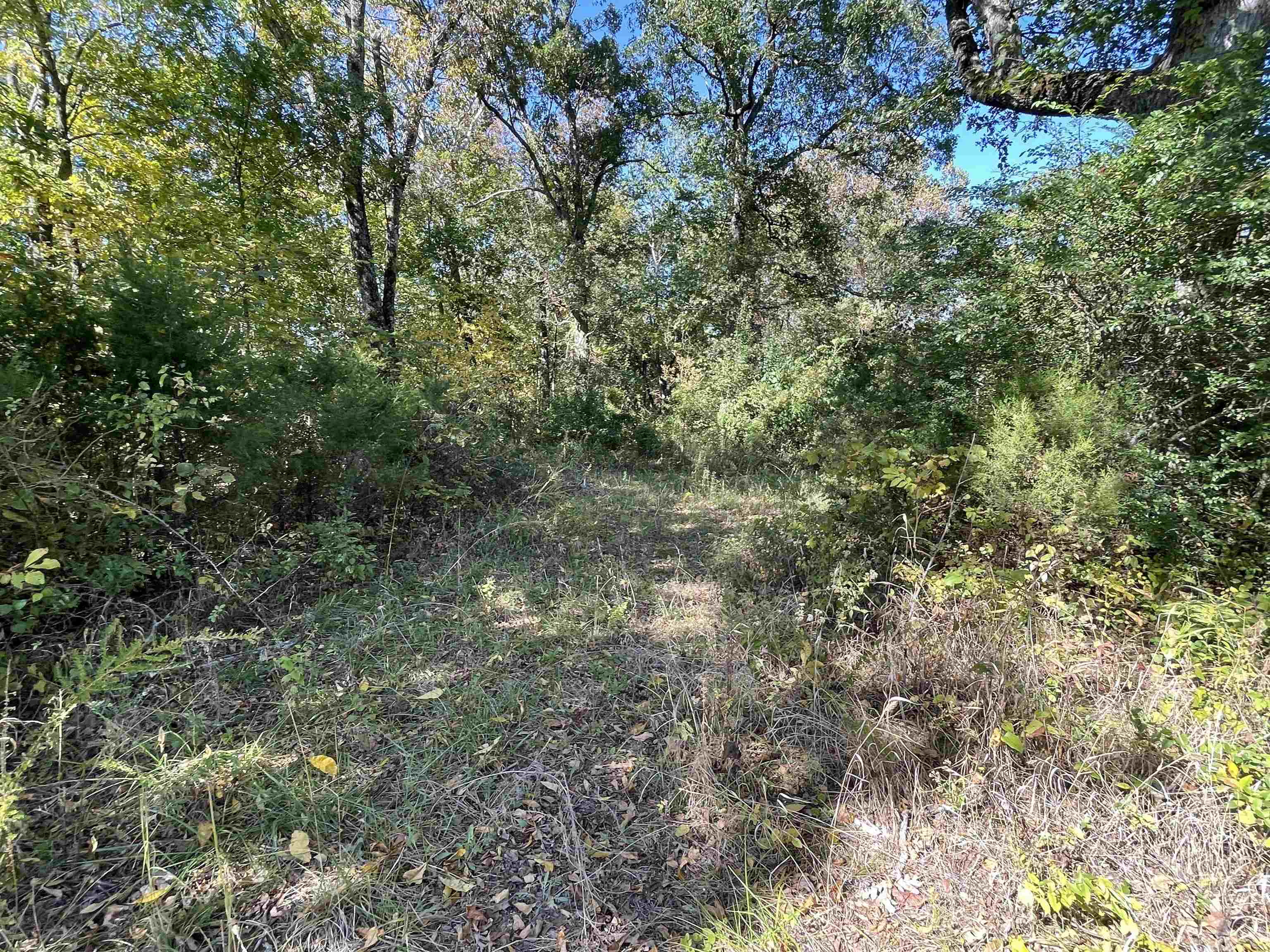 Tbd Nix Ridge Road Property Photo 5