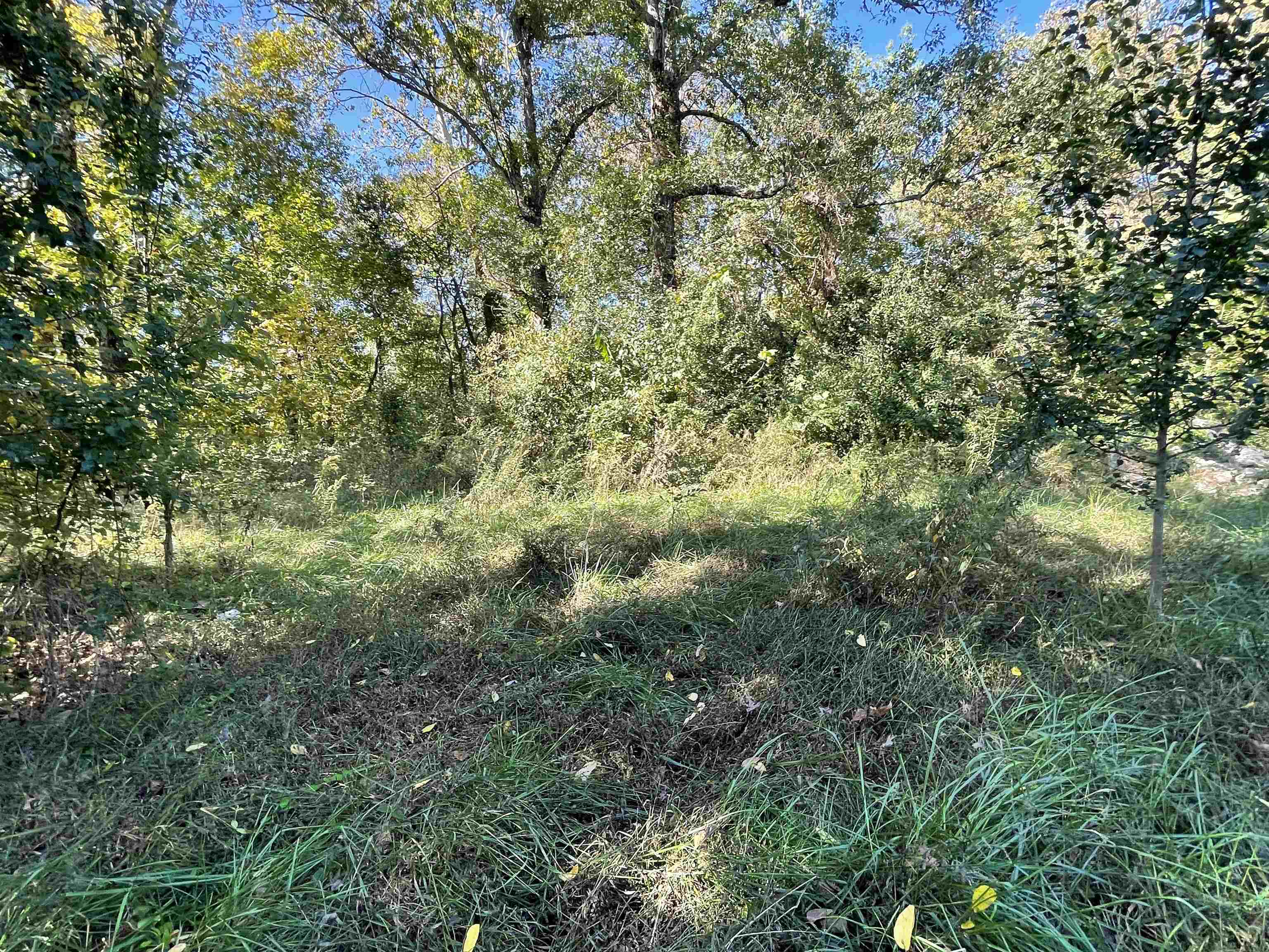 Tbd Nix Ridge Road Property Photo 6