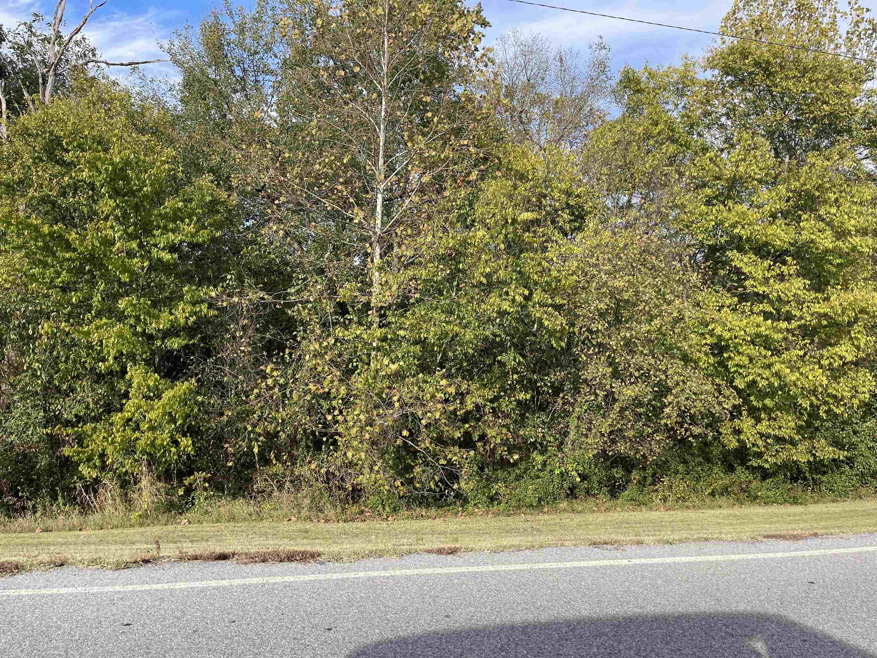 Tbd Nix Ridge Road Property Photo 8