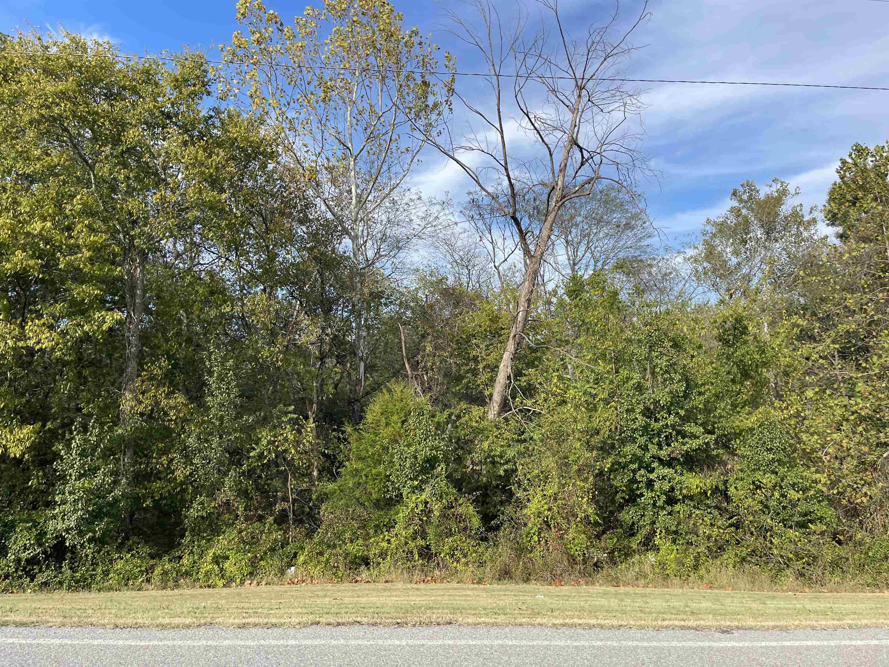 Tbd Nix Ridge Road Property Photo 9