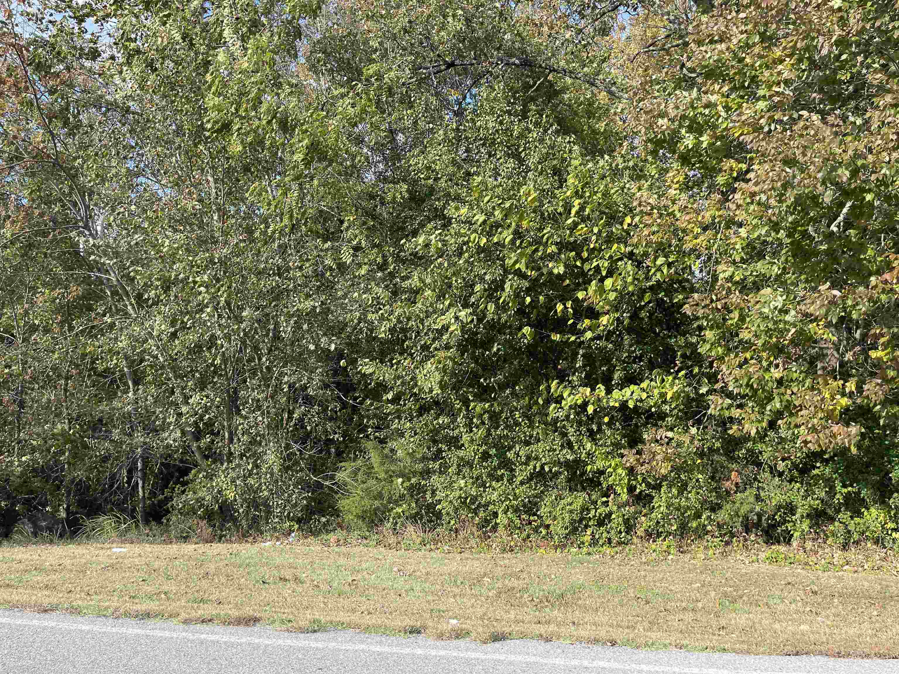 Tbd Nix Ridge Road Property Photo 10