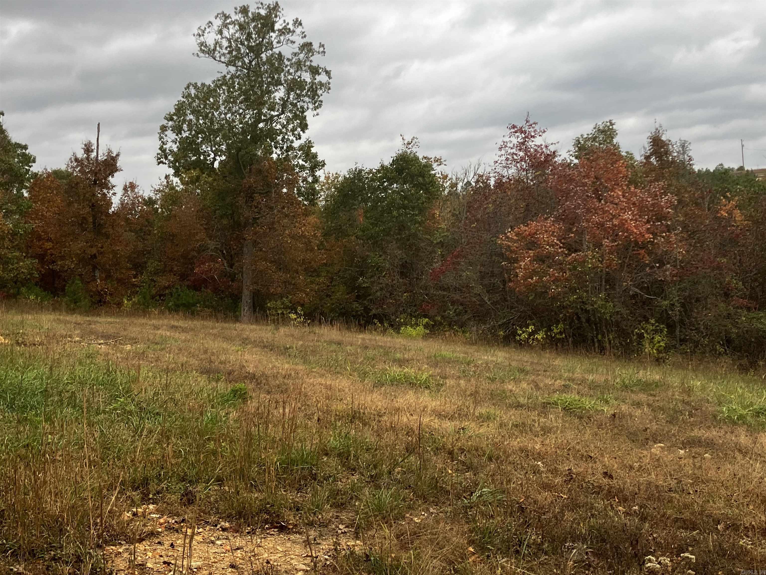 1300 Qmc Property Photo 3