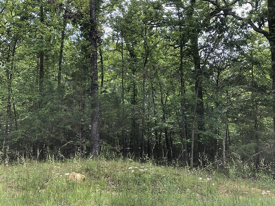 Chickasaw Fourth Real Estate Listings Main Image