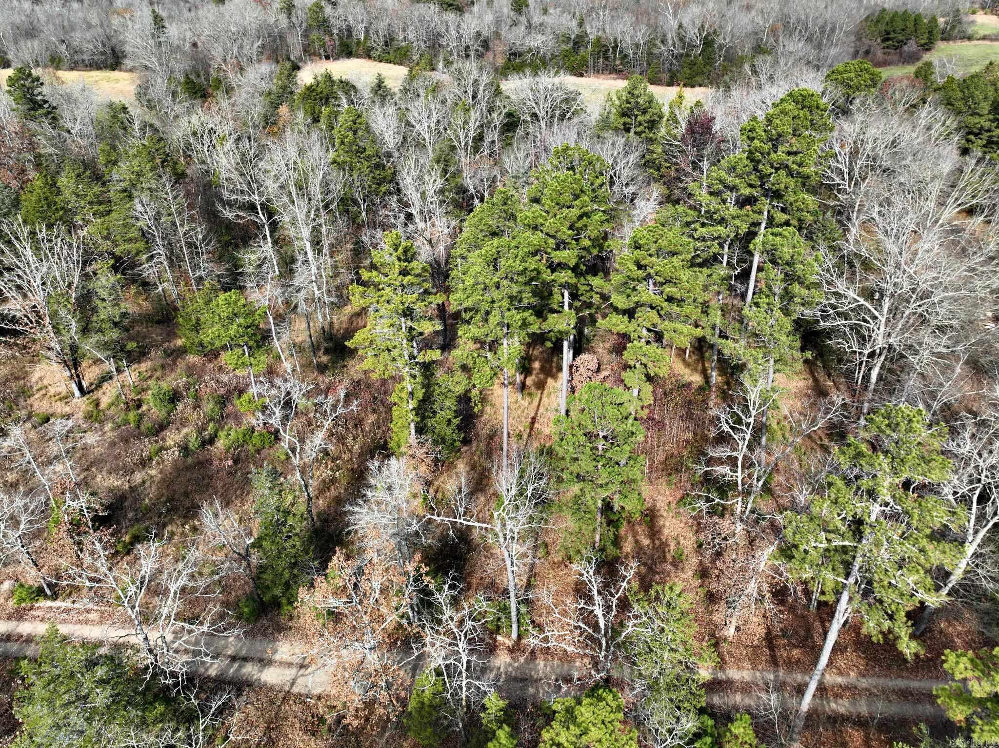 Tract 5 Acheson Lane Property Photo 1