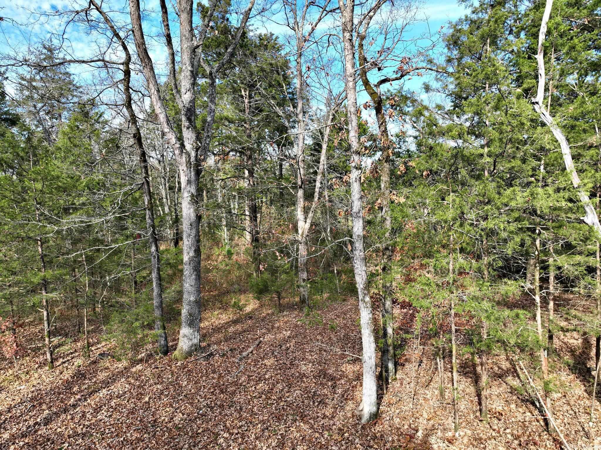 Tract 5 Acheson Lane Property Photo 6