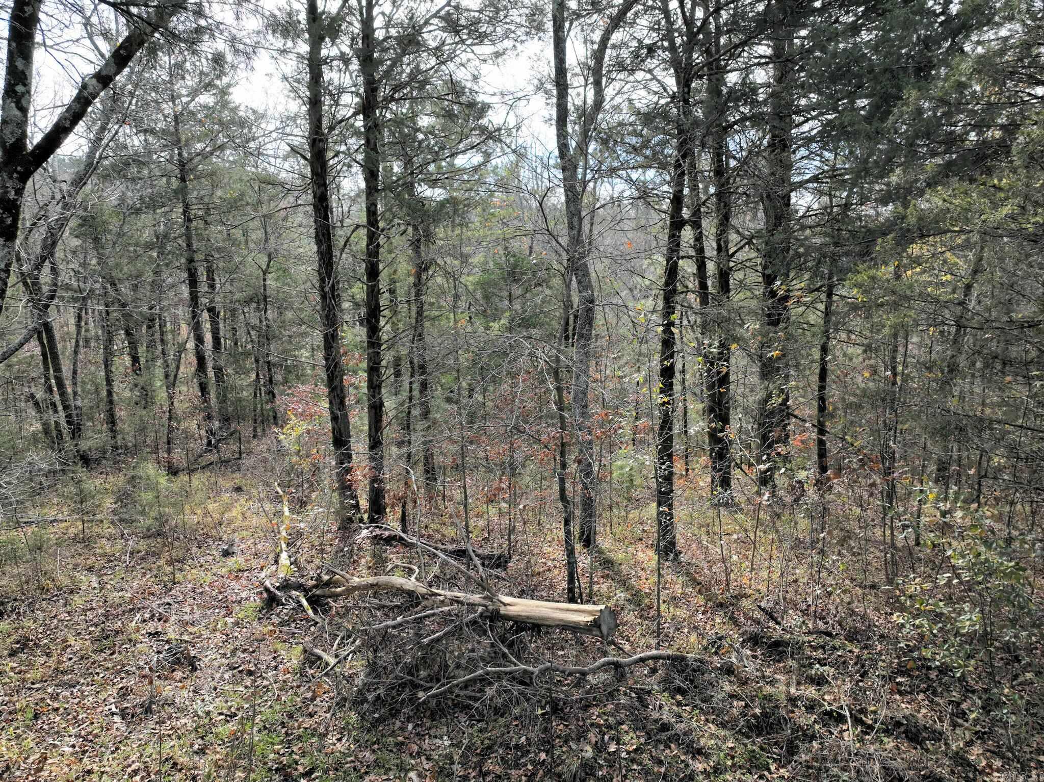 Tract 5 Acheson Lane Property Photo 11