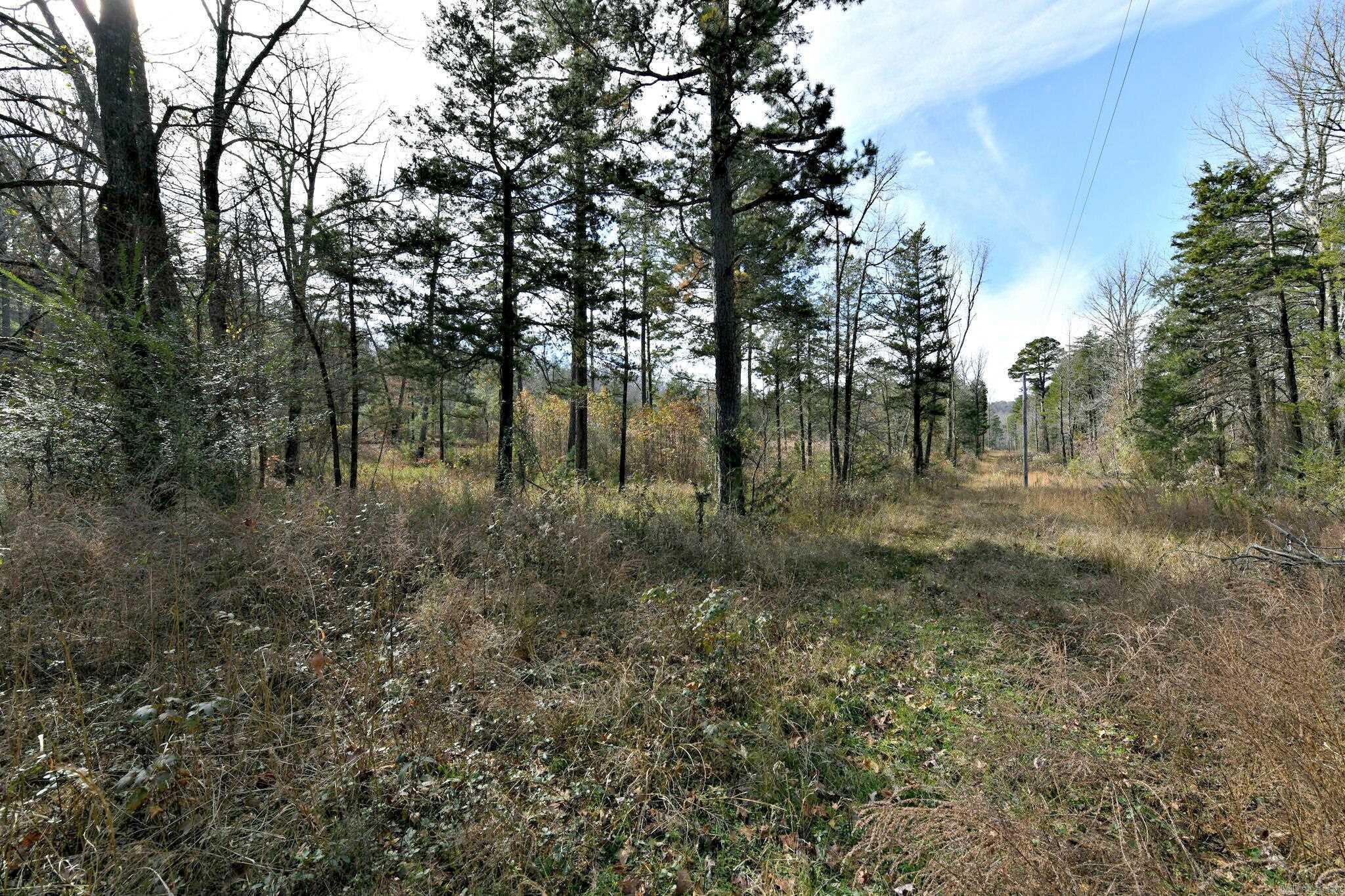 Tract 5 Acheson Lane Property Photo 13