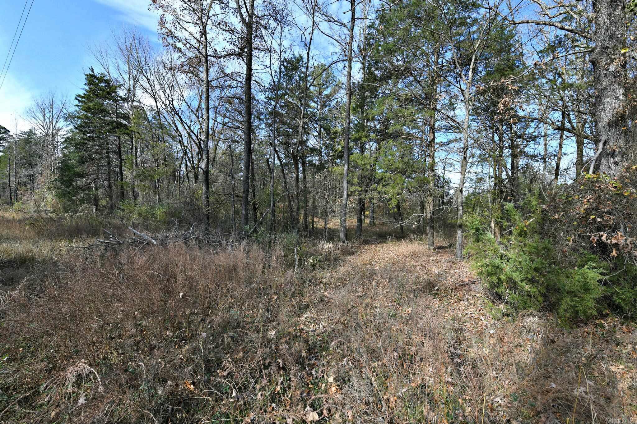 Tract 5 Acheson Lane Property Photo 14