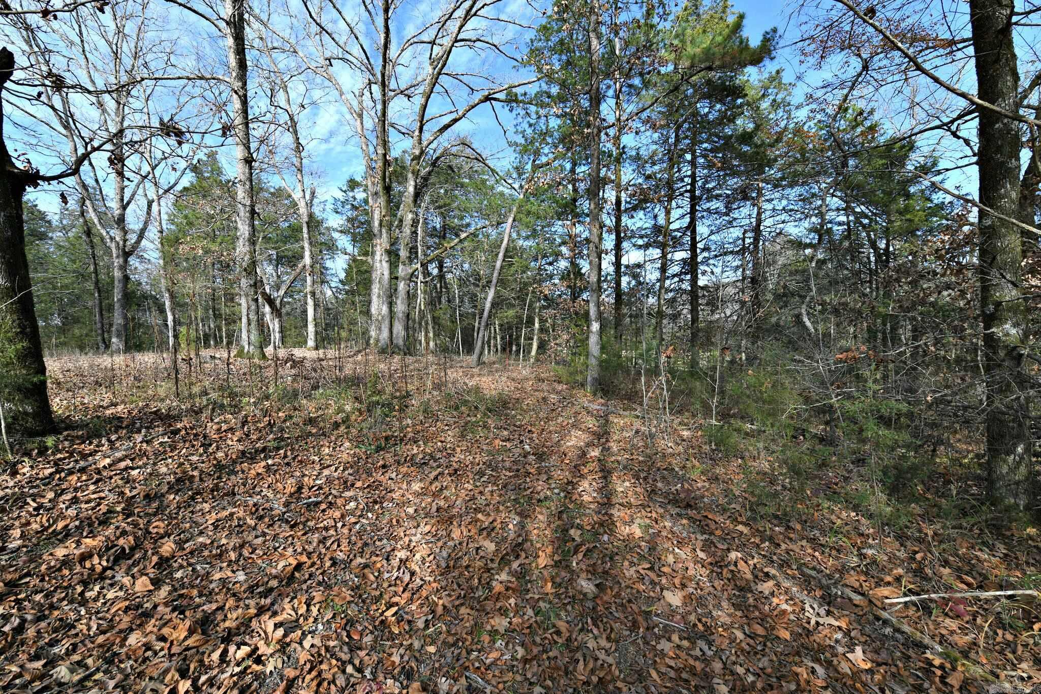 Tract 5 Acheson Lane Property Photo 16