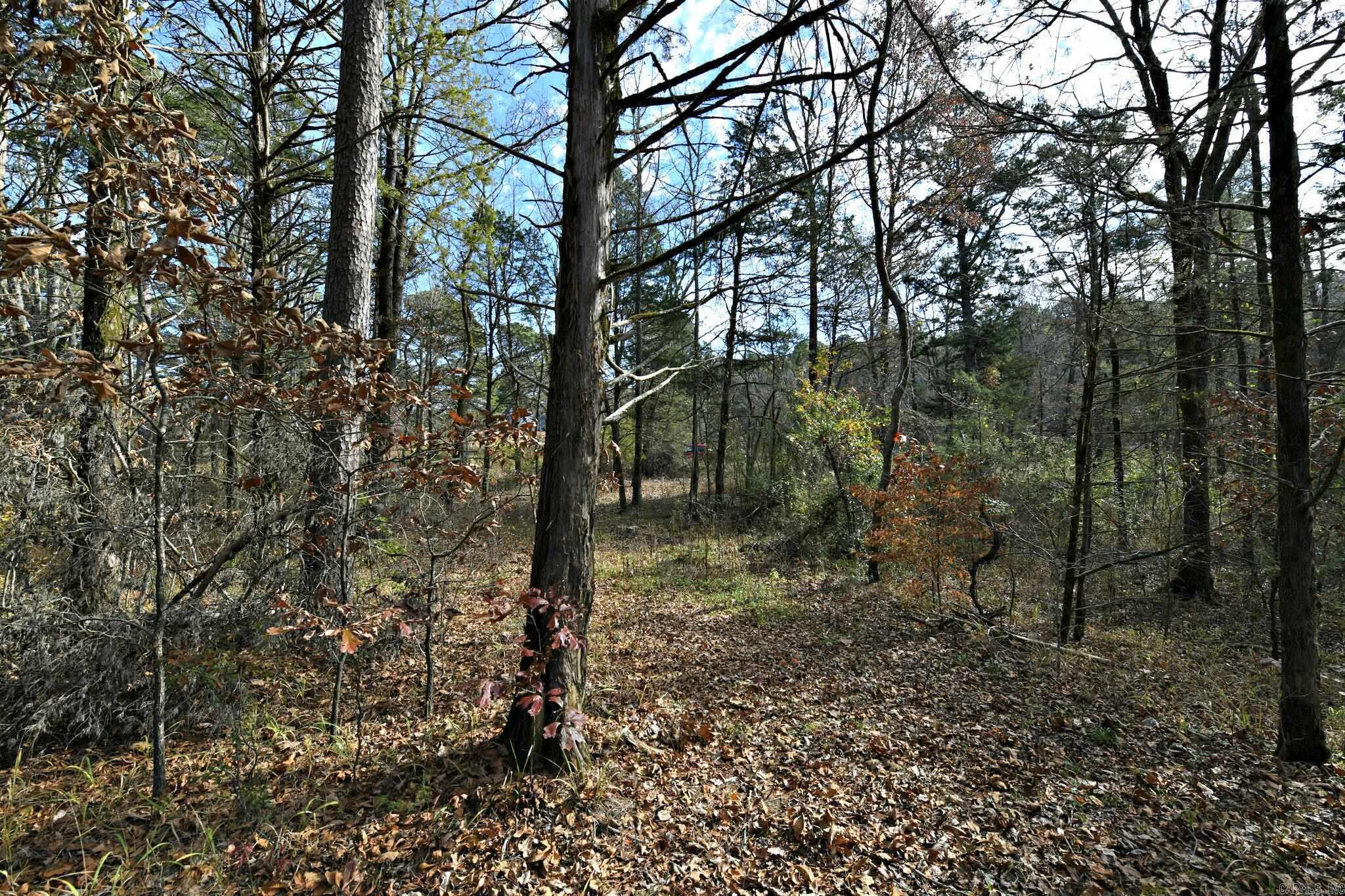 Tract 5 Acheson Lane Property Photo 17
