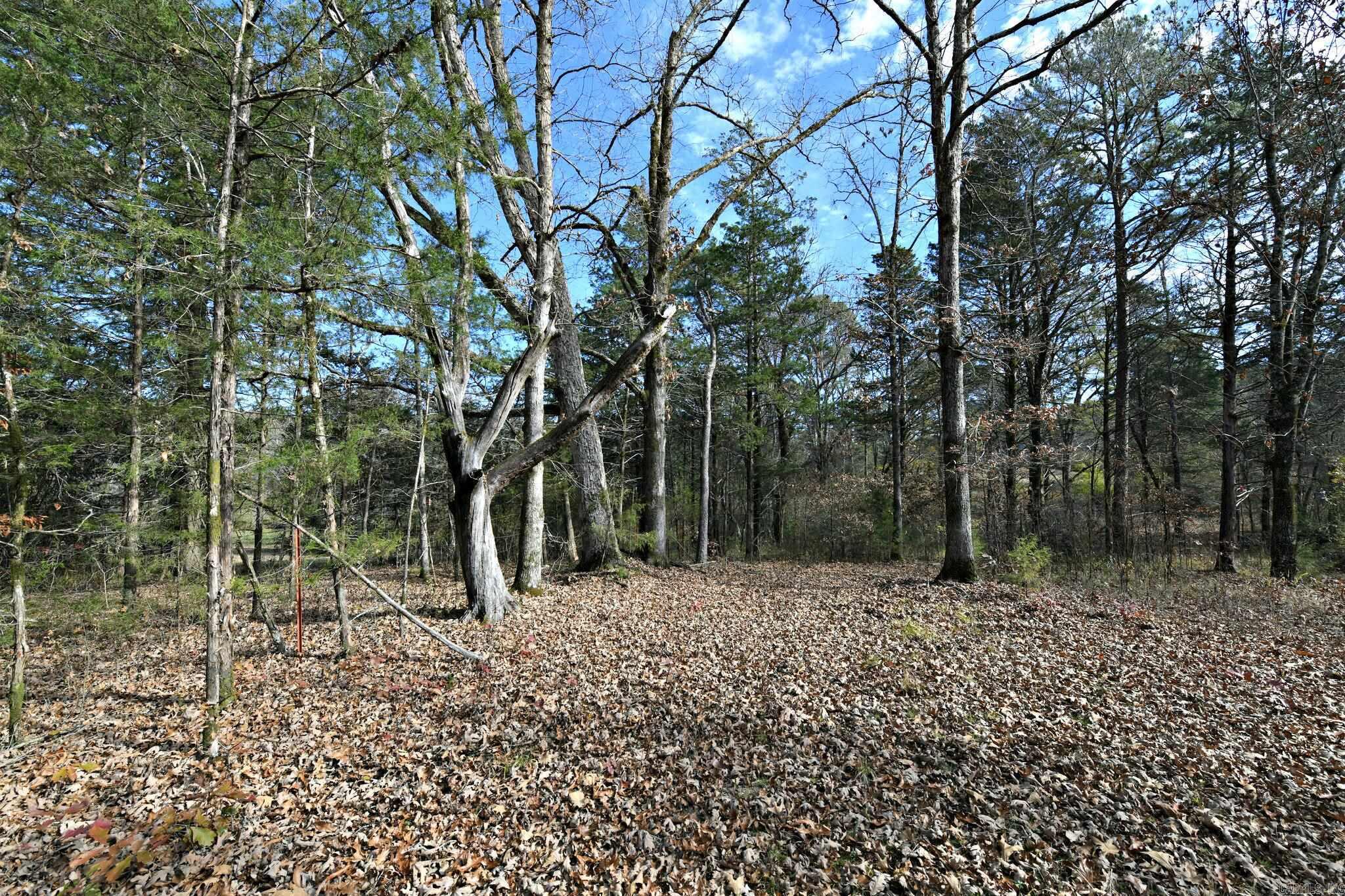 Tract 5 Acheson Lane Property Photo 18