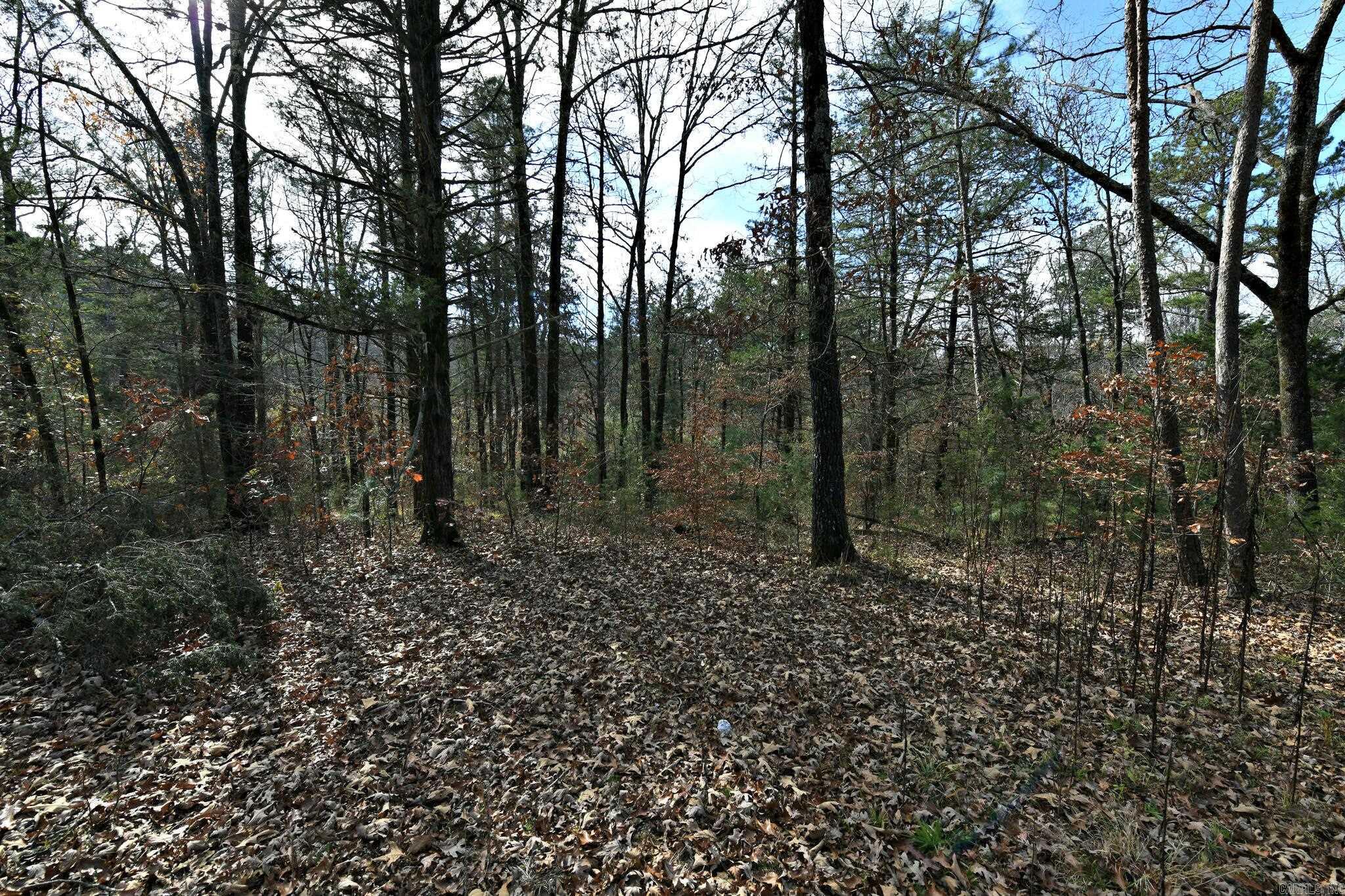 Tract 5 Acheson Lane Property Photo 20