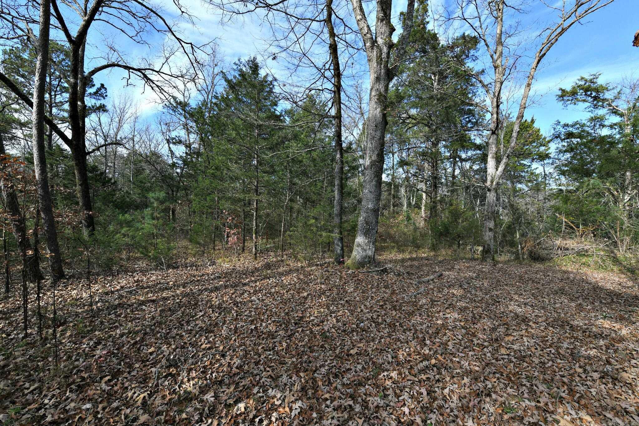 Tract 5 Acheson Lane Property Photo 21