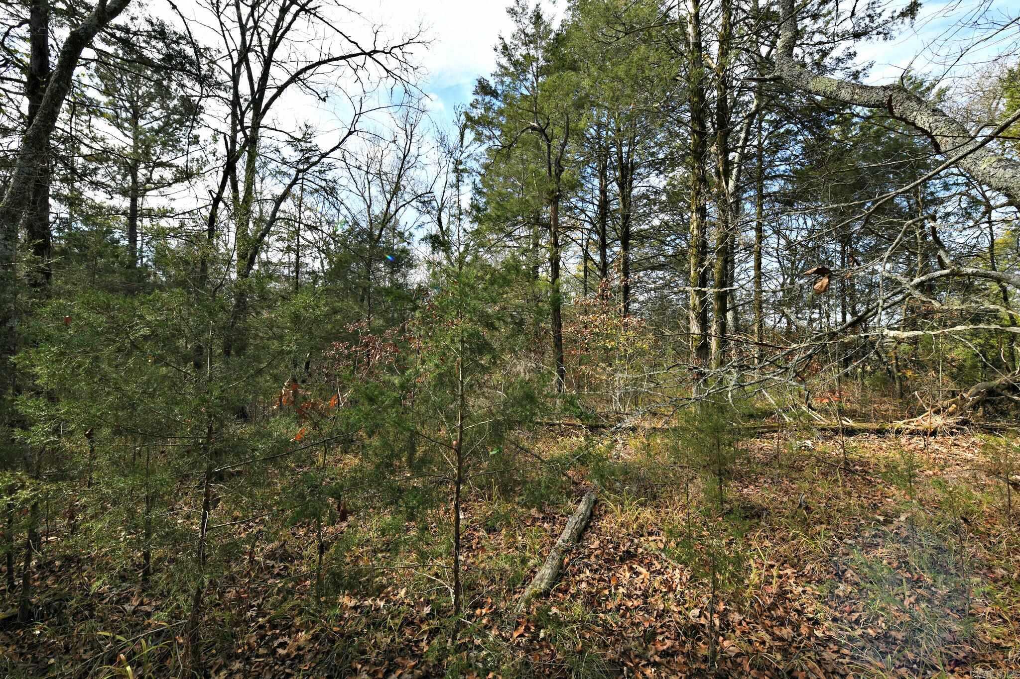 Tract 5 Acheson Lane Property Photo 23