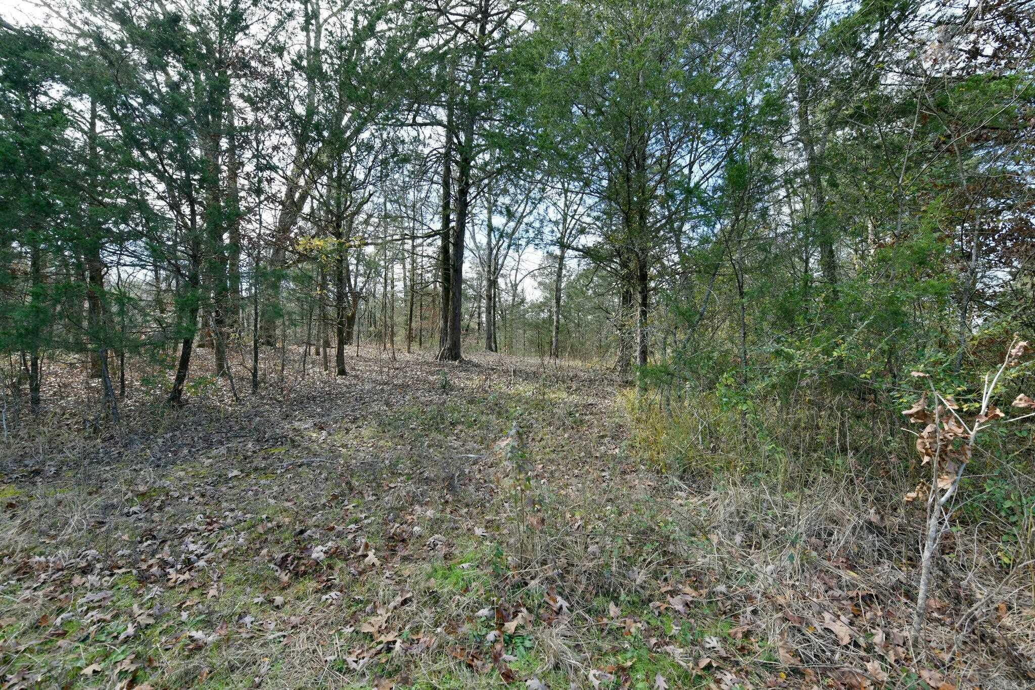 Tract 5 Acheson Lane Property Photo 28
