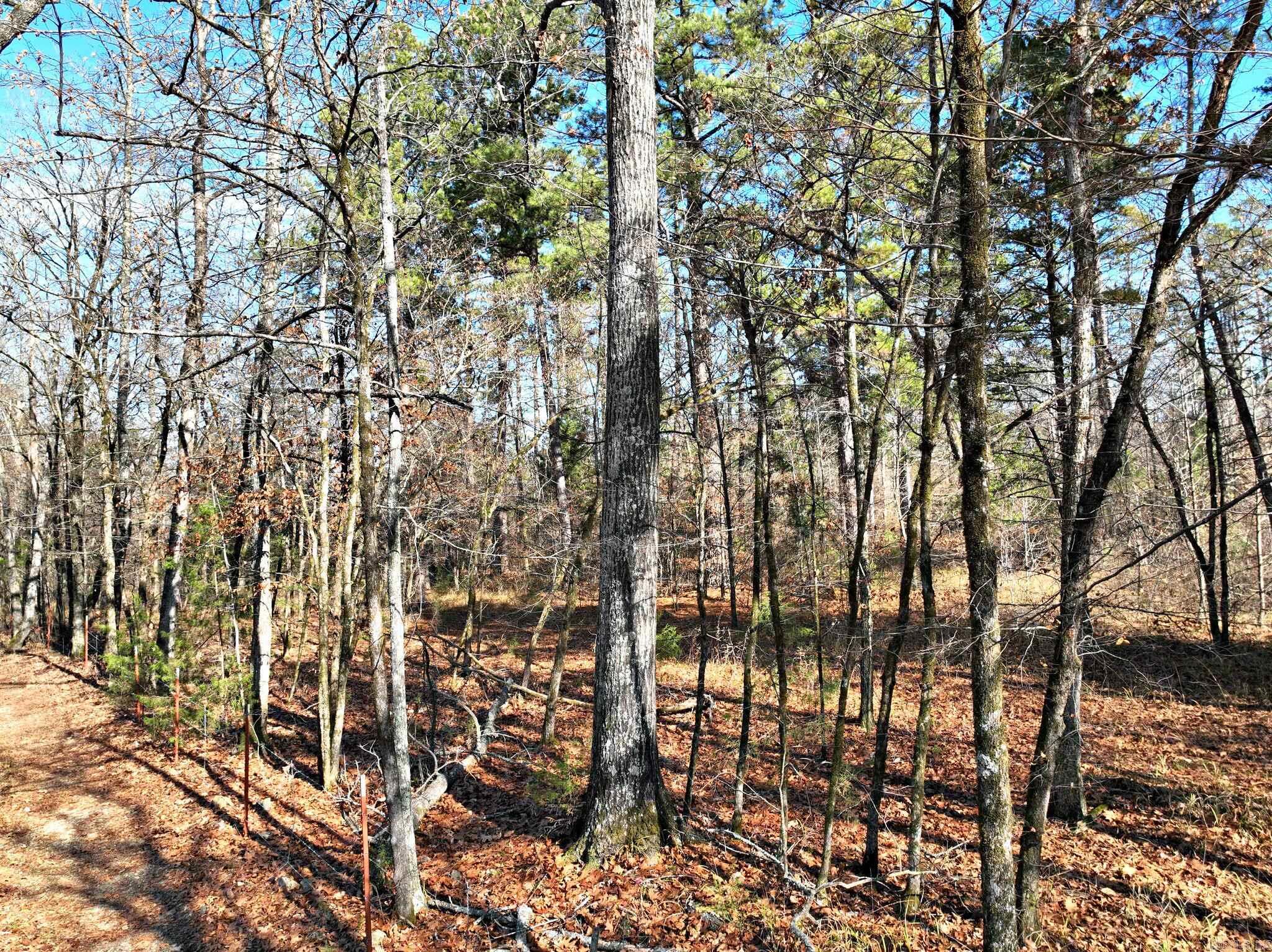 Tract 3 Highway 8 E Property Photo 2