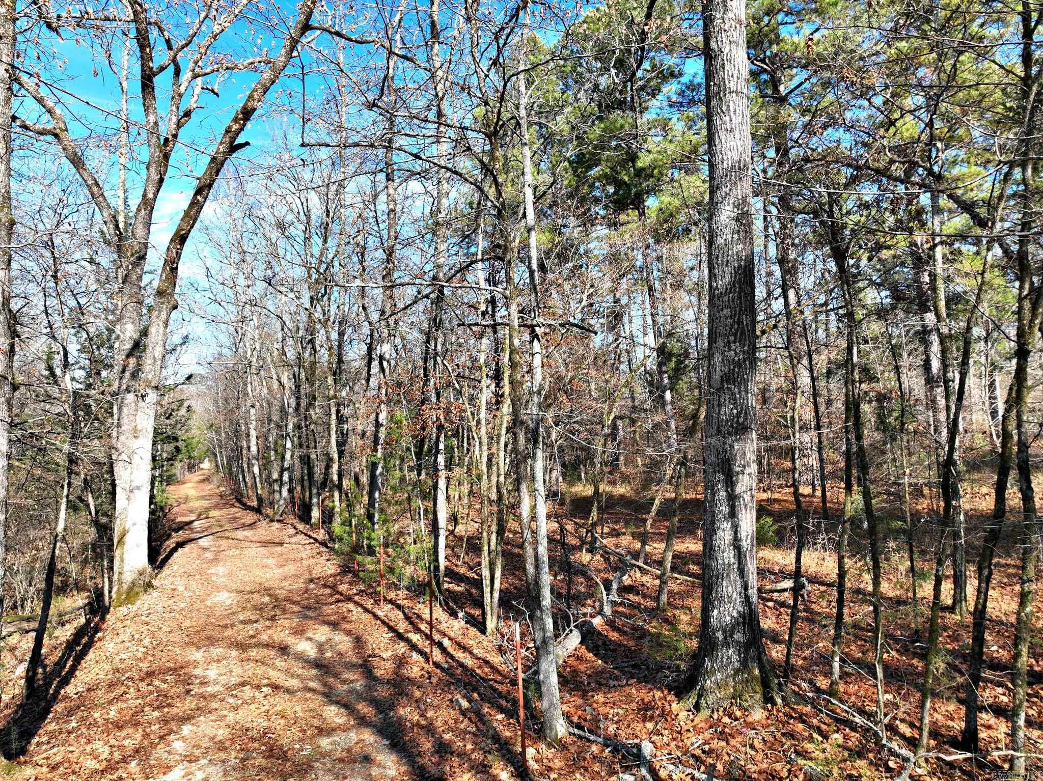 Tract 3 Highway 8 E Property Photo 3