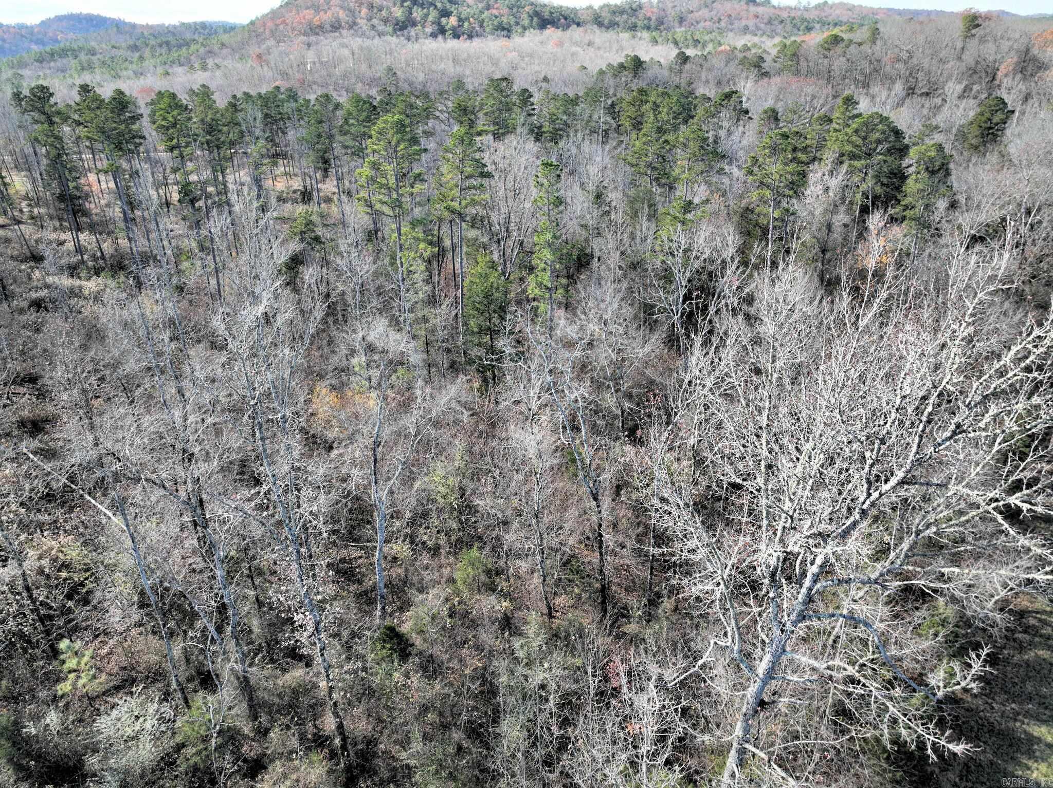 Tract 3 Highway 8 E Property Photo 8