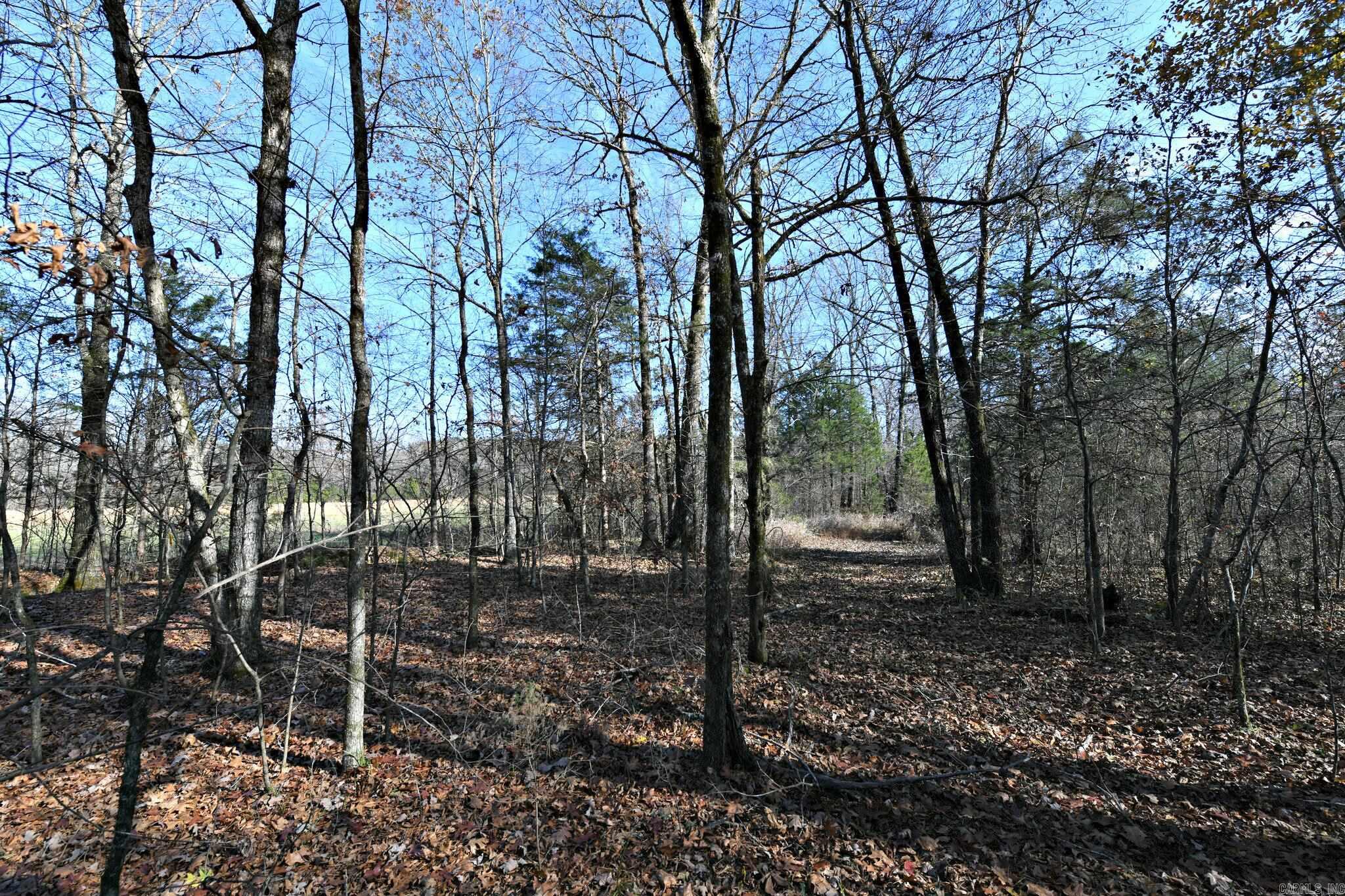 Tract 3 Highway 8 E Property Photo 12