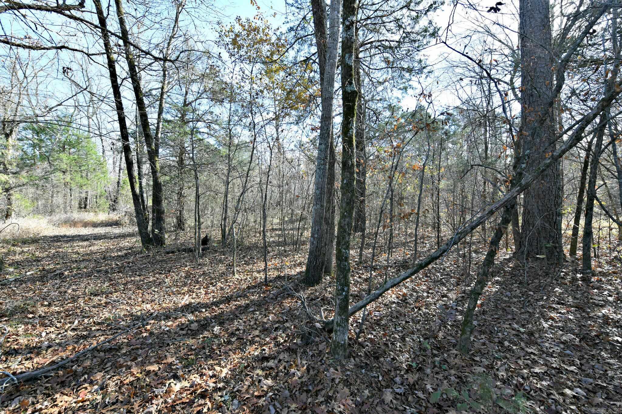 Tract 3 Highway 8 E Property Photo 18