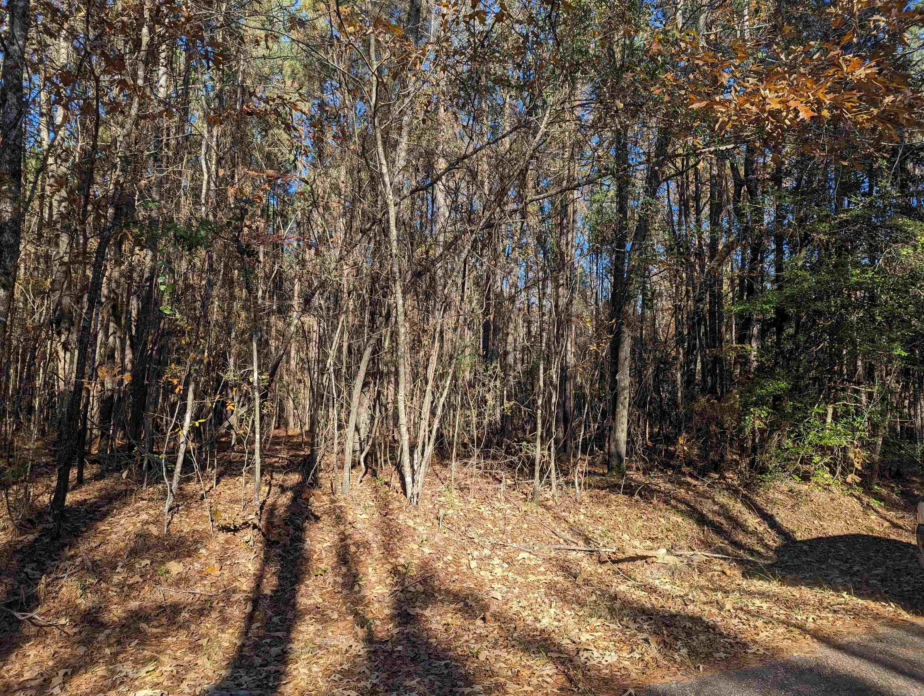 Ouachita 387 Road Property Photo 1