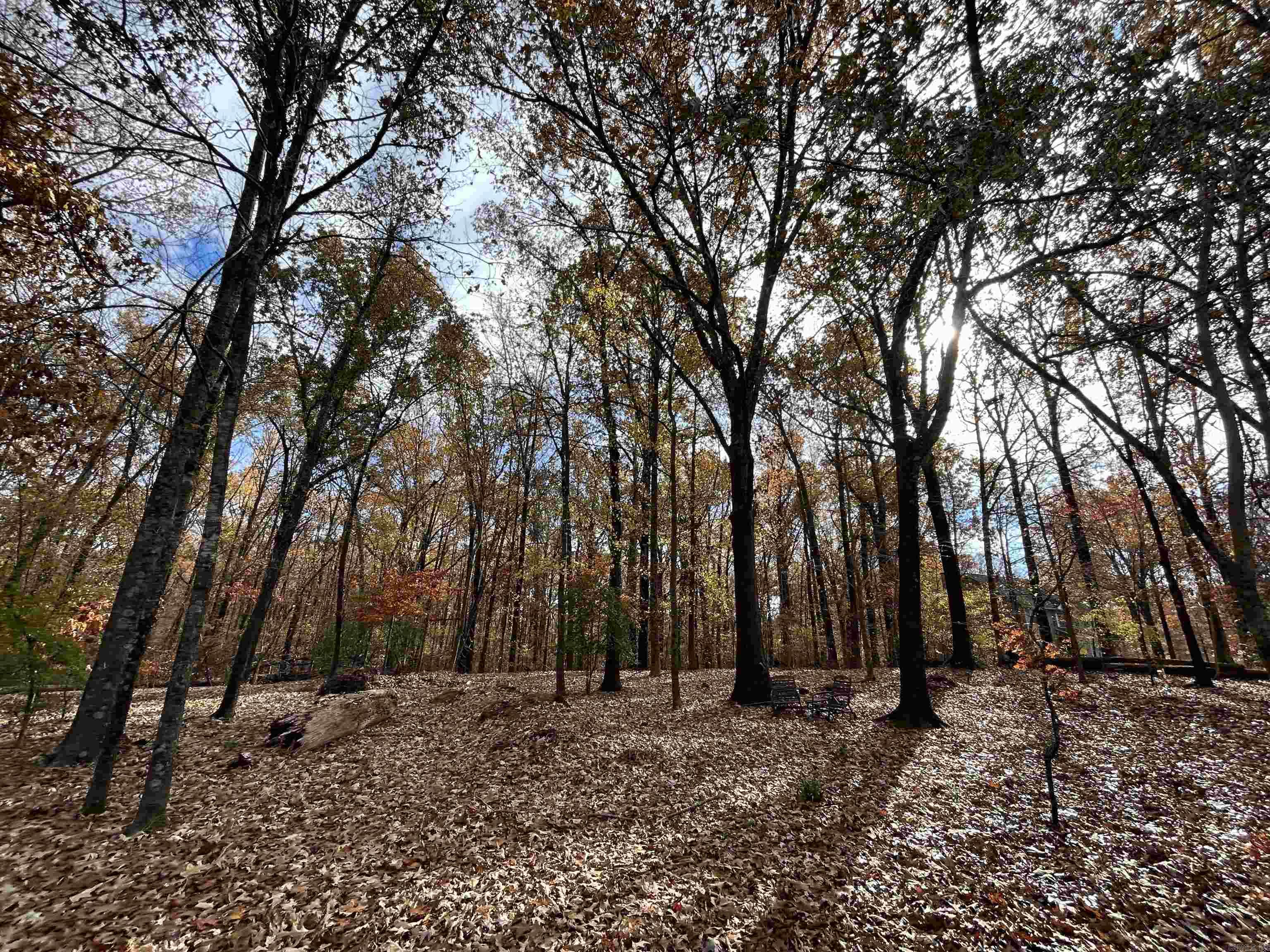 County Rd 308 Property Photo 1