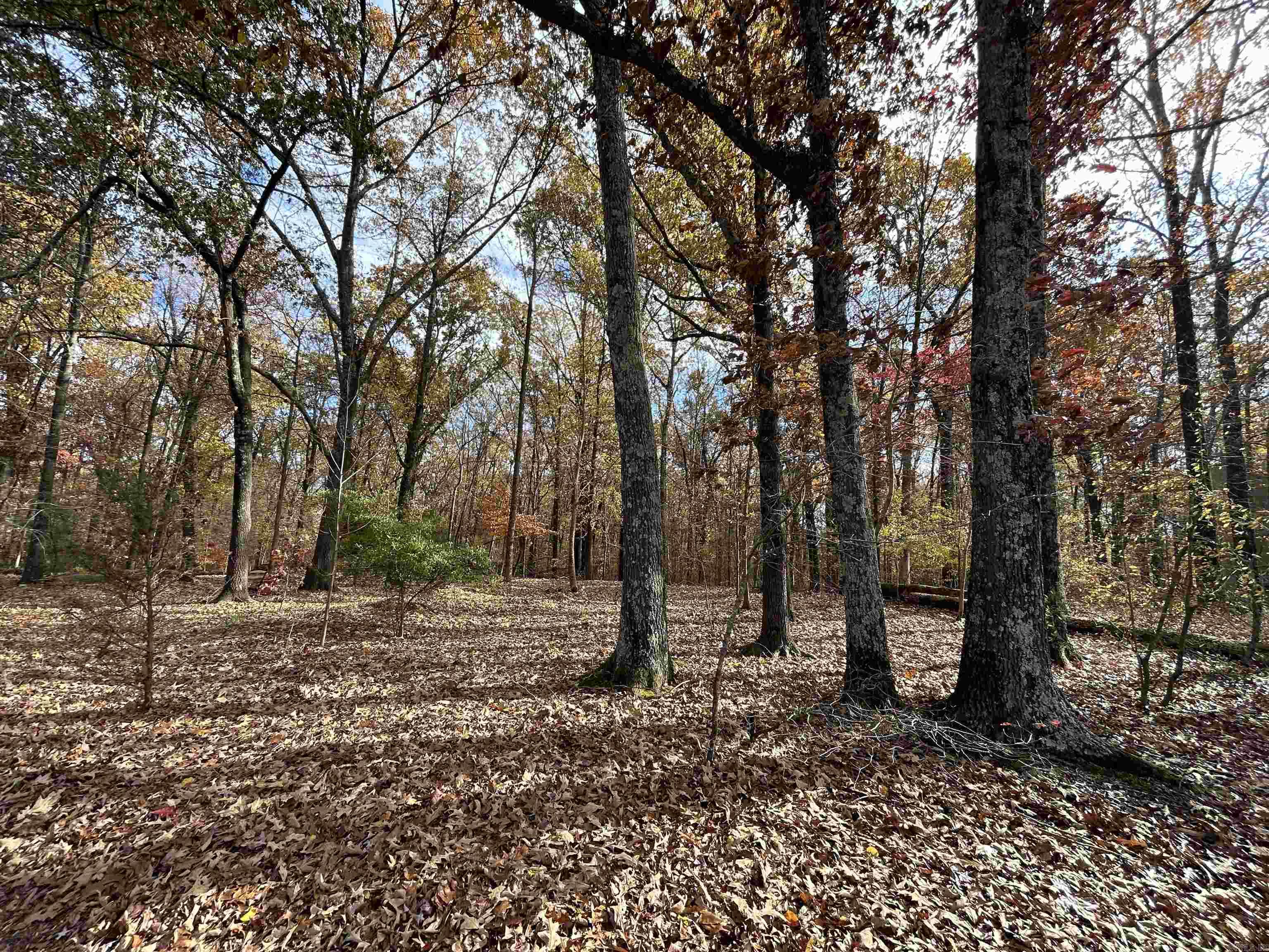 County Rd 308 Property Photo 2